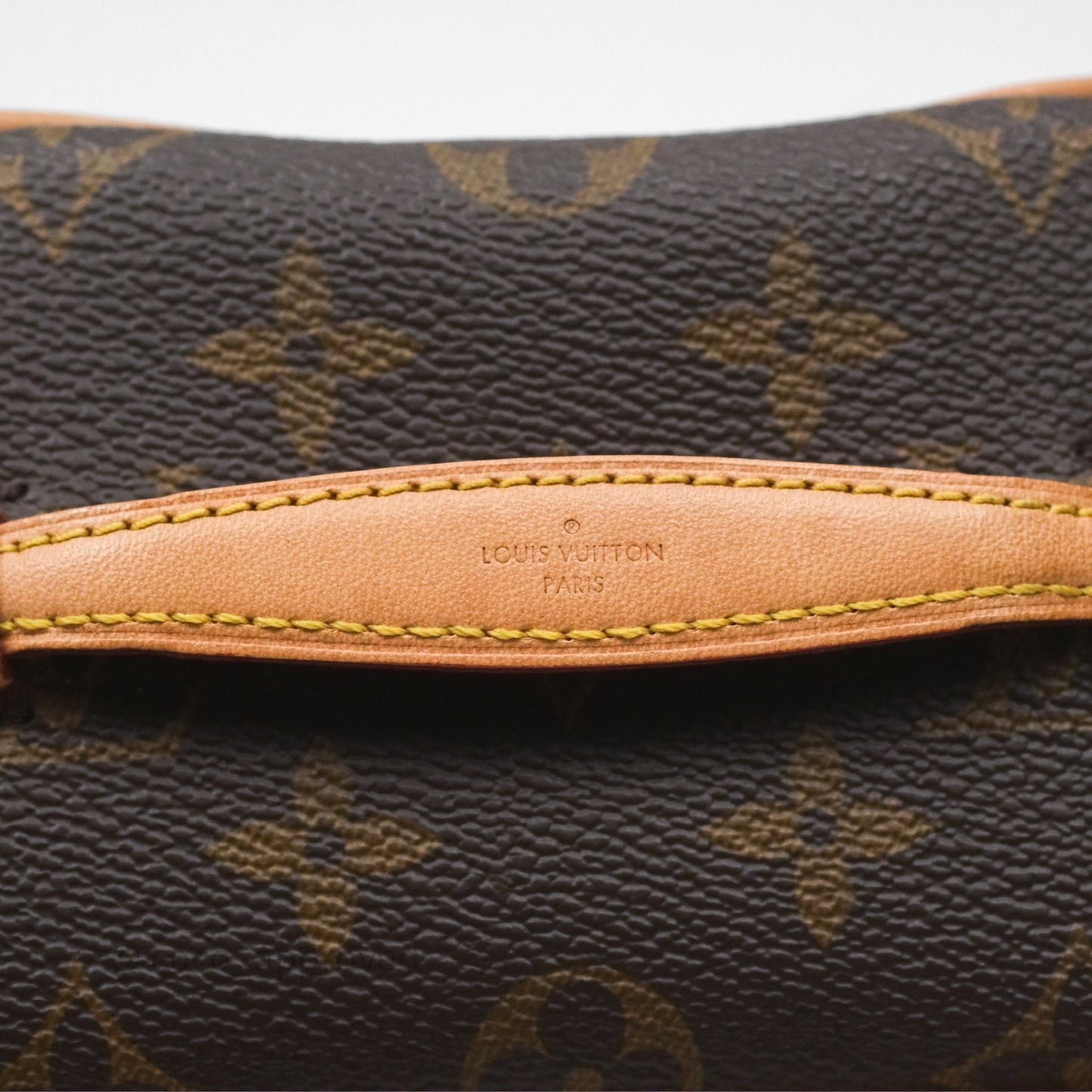 Louis Vuitton Monogram Nice Nano