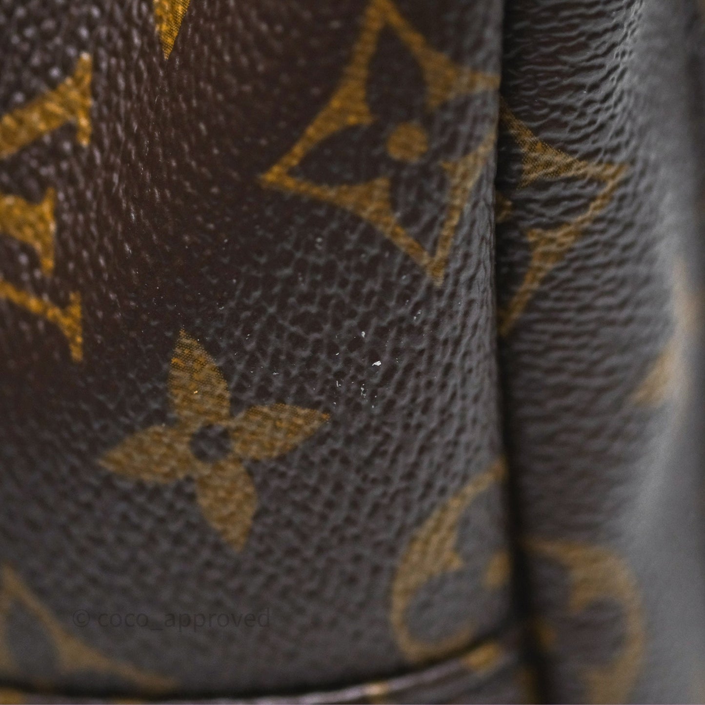 Louis Vuitton Monogram Mini Palm Springs Backpack⁣