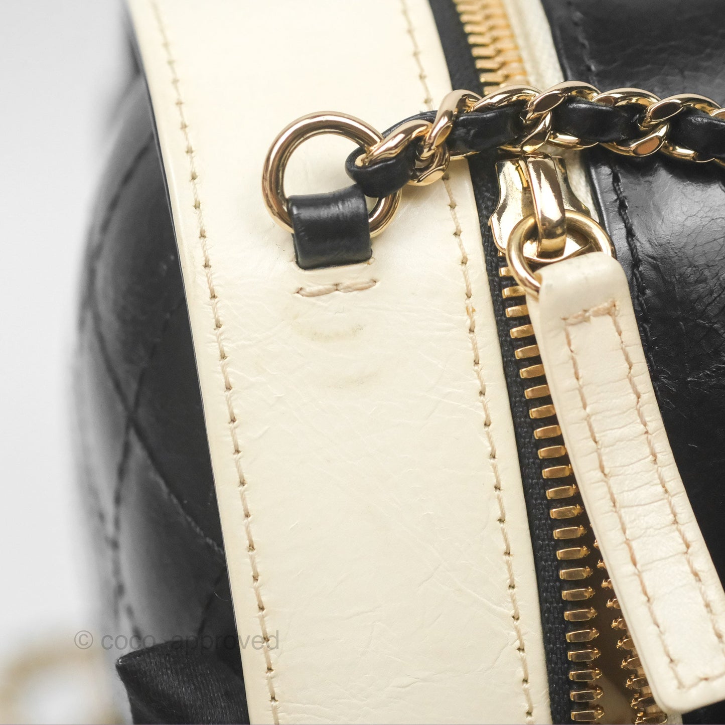 Chanel Camera Case Bag Black/White Calfskin Gold Hardware