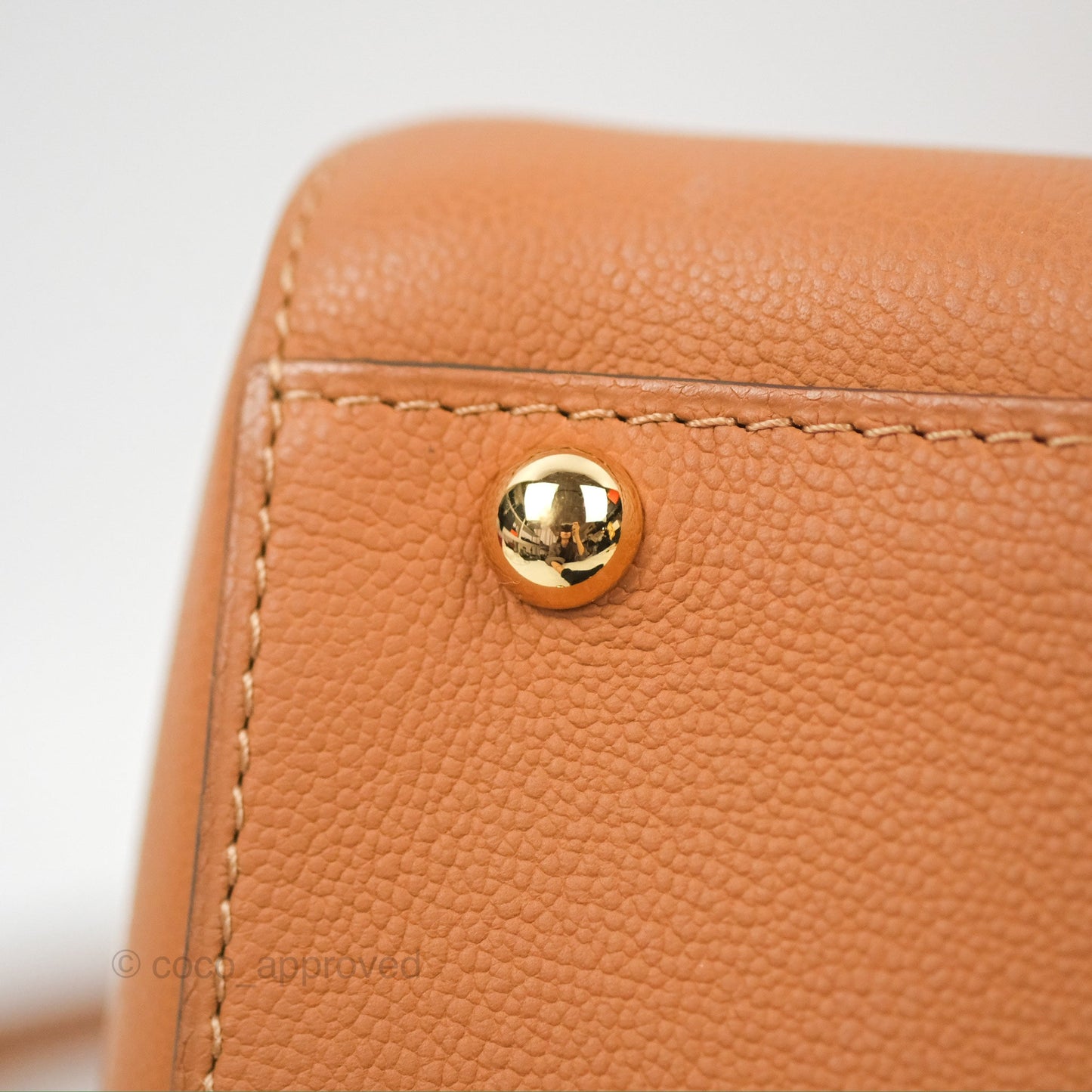 Delvaux Mini Brillant Bag Vegetal Rodeo Calf Gold Hardware
