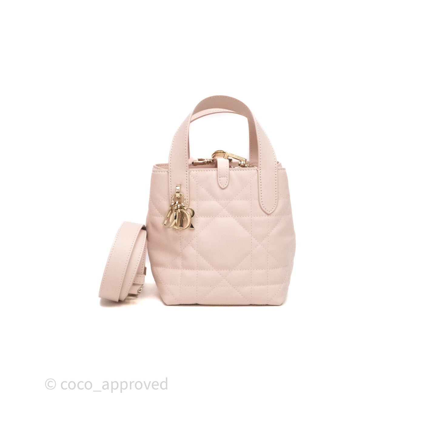 Christian Dior Toujours Vertical Nano Tote Bag Pink