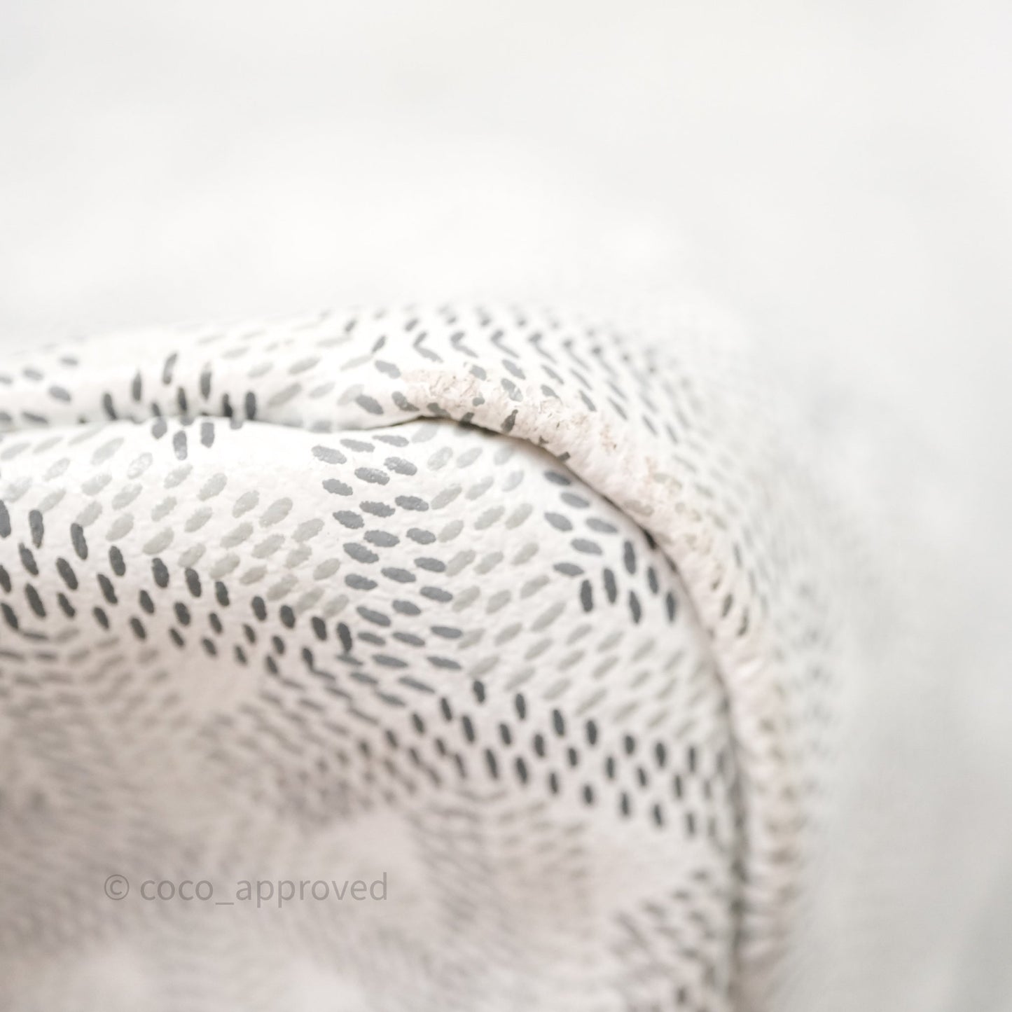 Goyard Bohème Hobo Bag PM White Goyardine Canvas