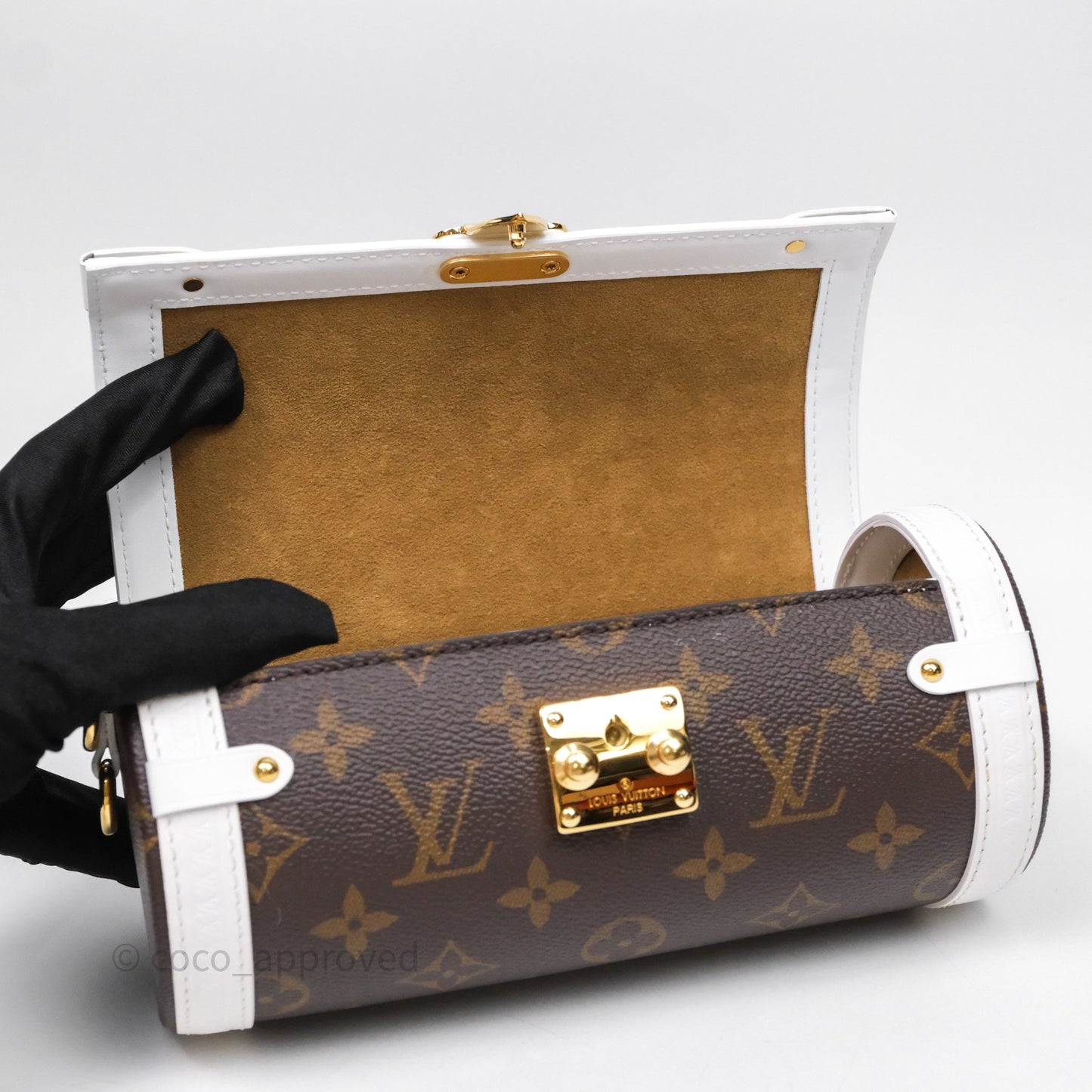 Louis Vuitton Monogram Papillon Trunk Bag