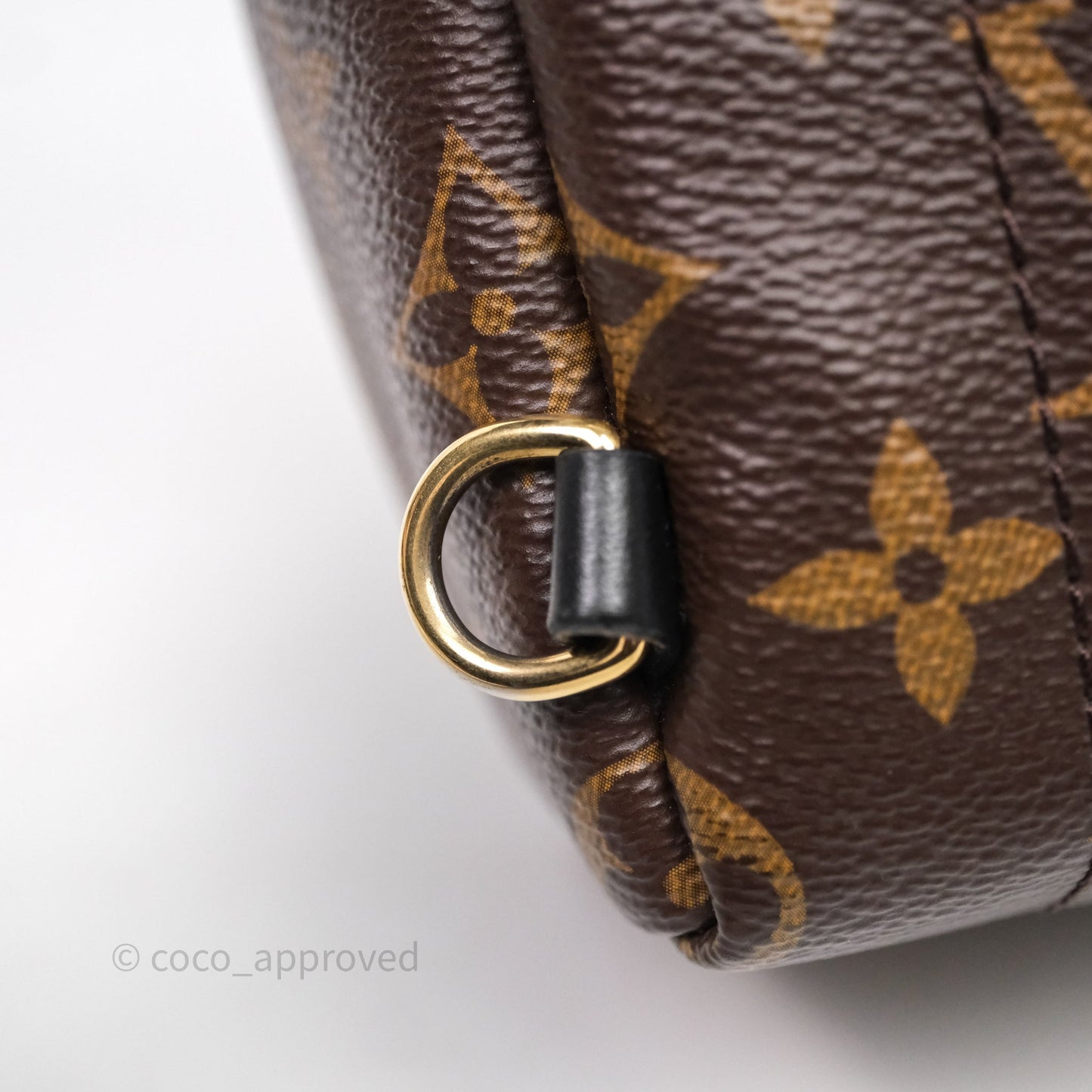 Louis Vuitton Mini Palm Springs Backpack⁣ Monogram