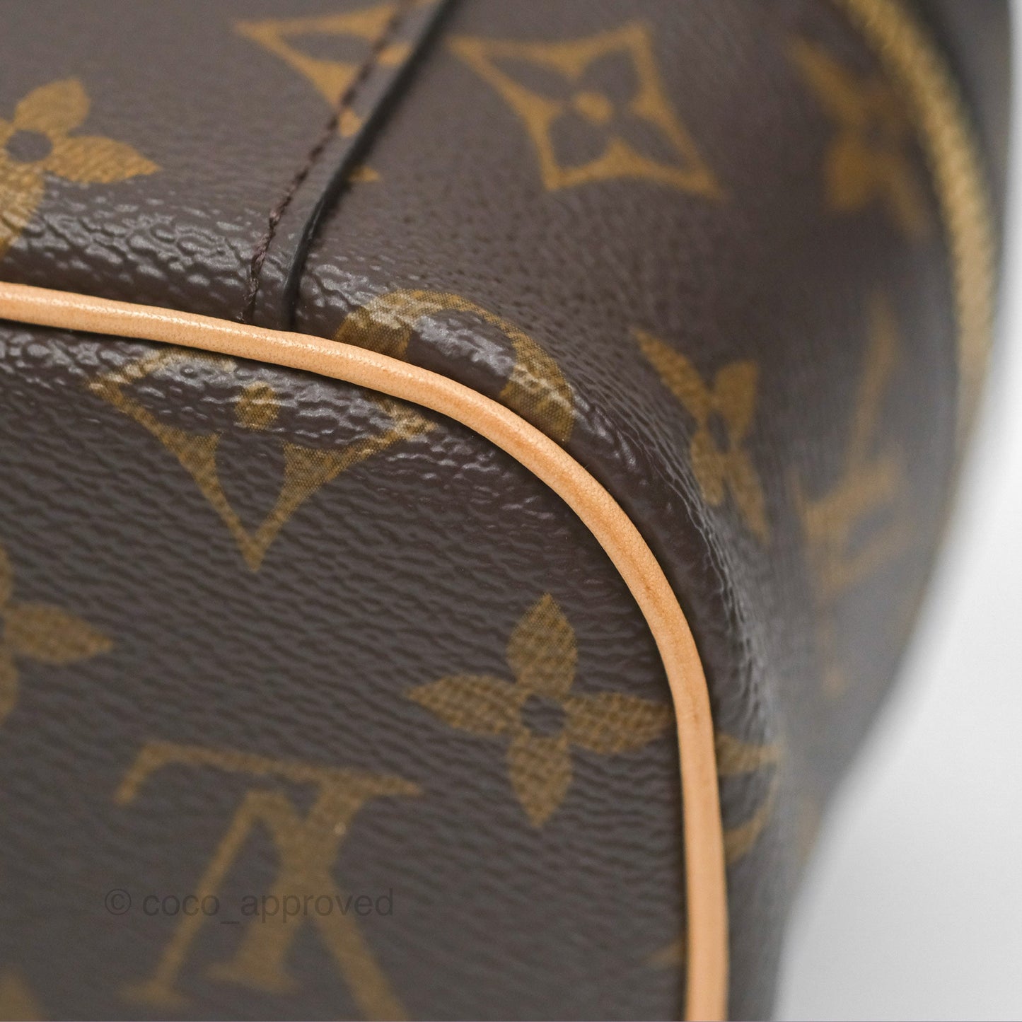 Louis Vuitton Nano Nice Monogram