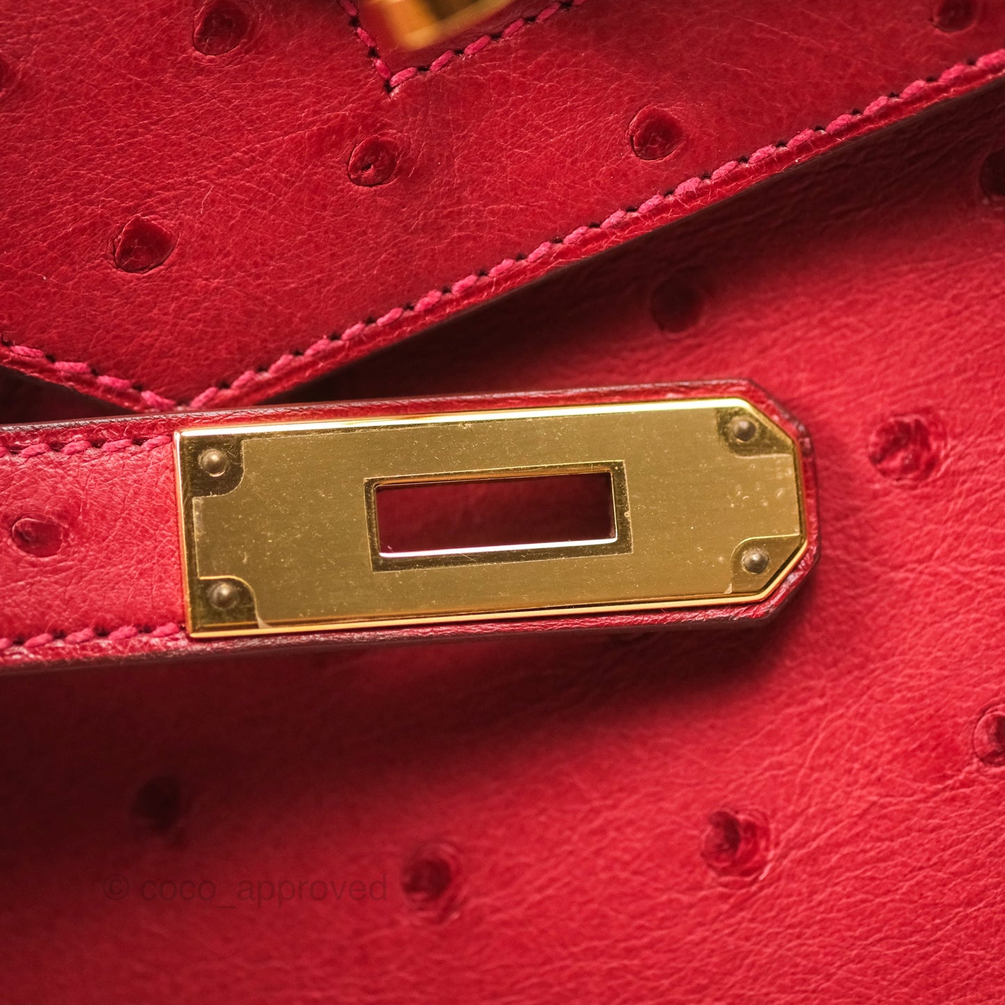 Hermès Birkin Retourne 30 Rouge Vif 53 Ostrich Gold Hardware