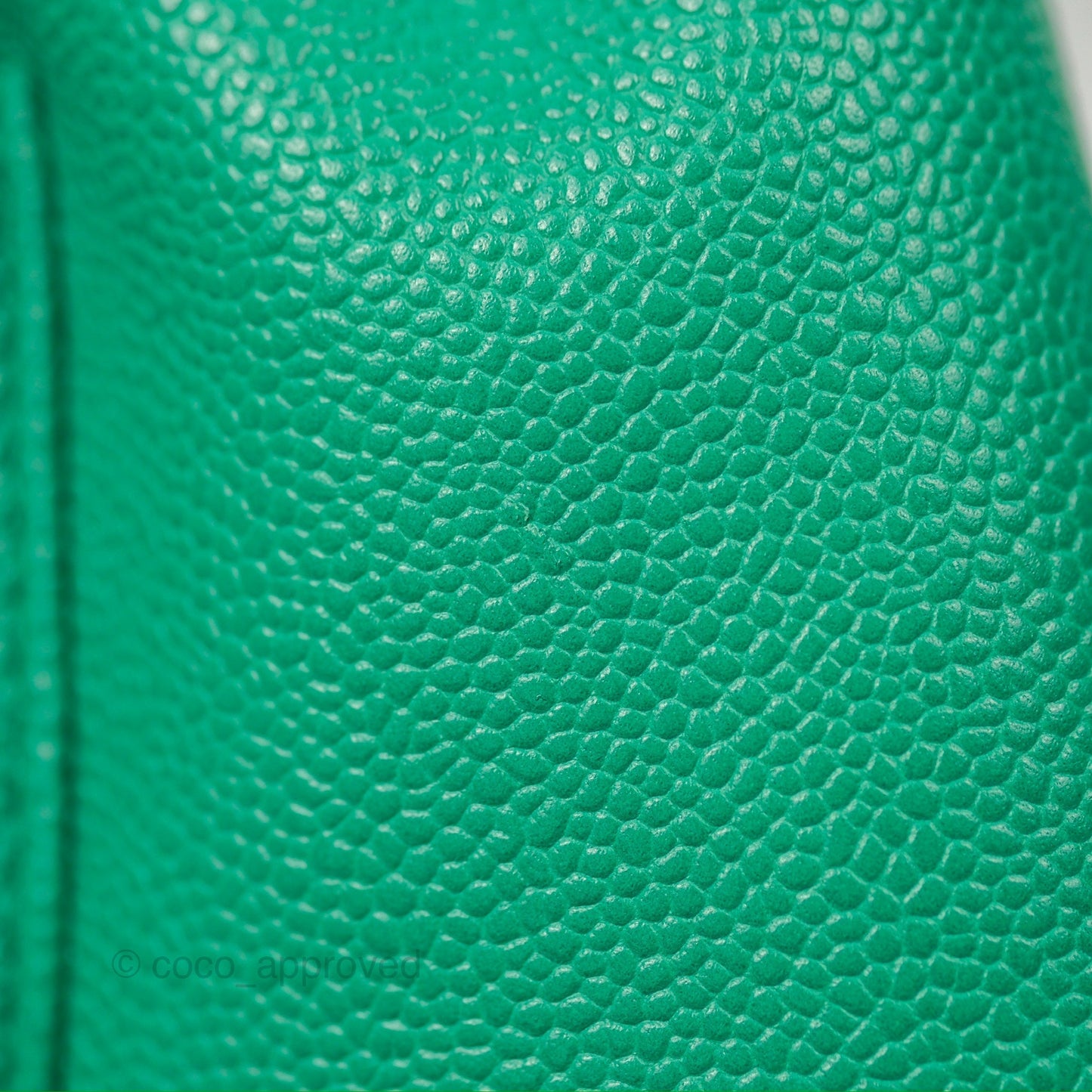 Chanel Duma Backpack Small Green Caviar Gold Hardware 23P