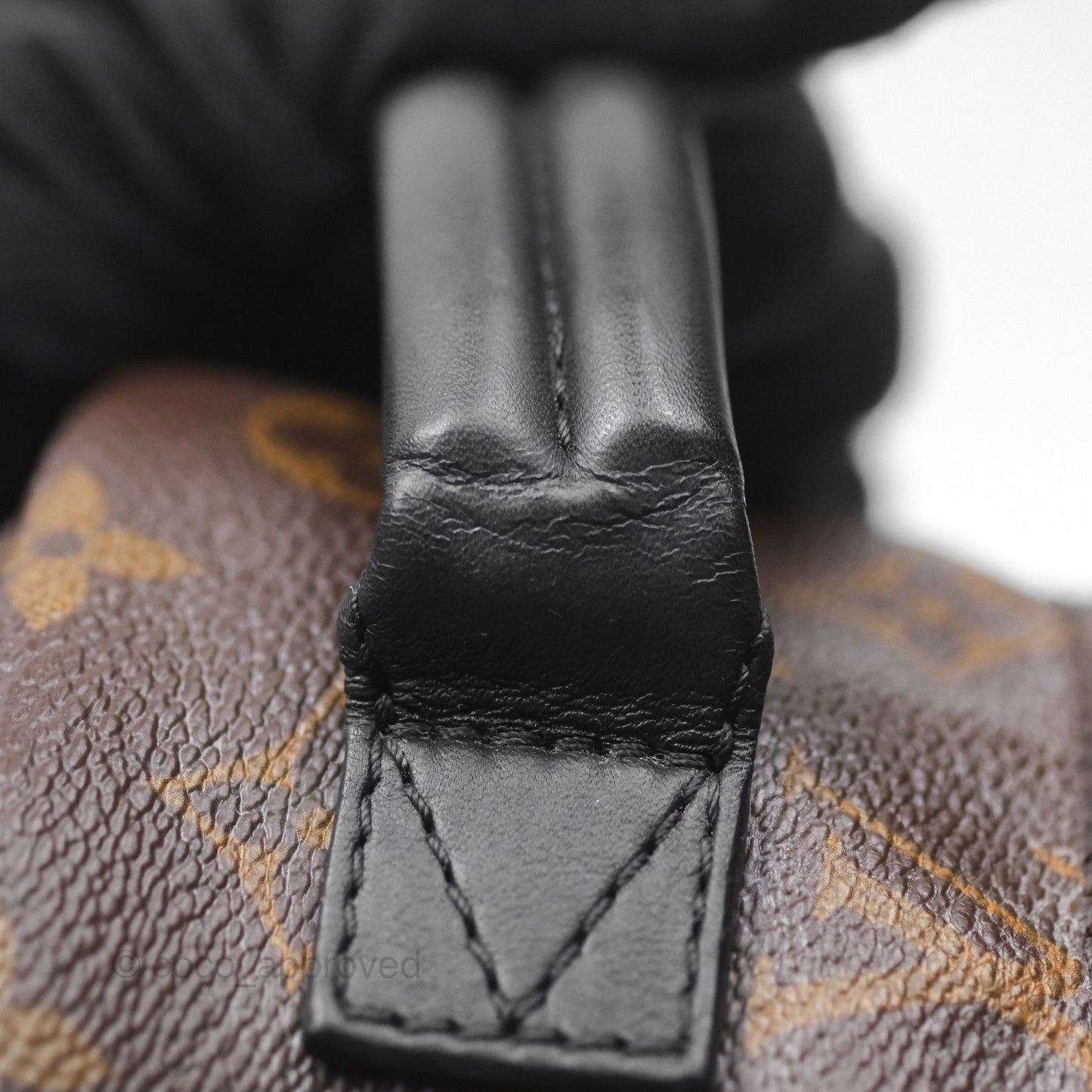 Louis Vuitton Monogram Mini Palm Springs Backpack⁣