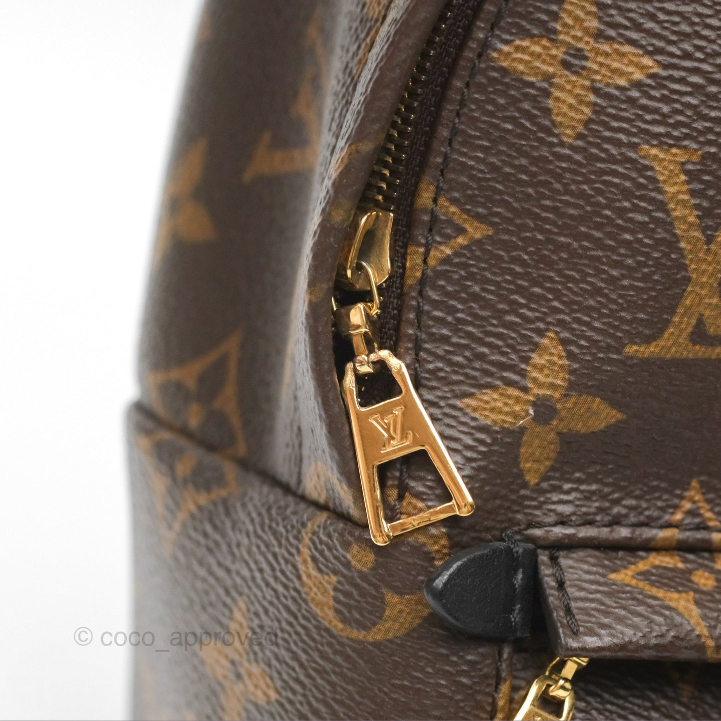 Louis Vuitton Mini Palm Springs Backpack⁣ Monogram Canvas