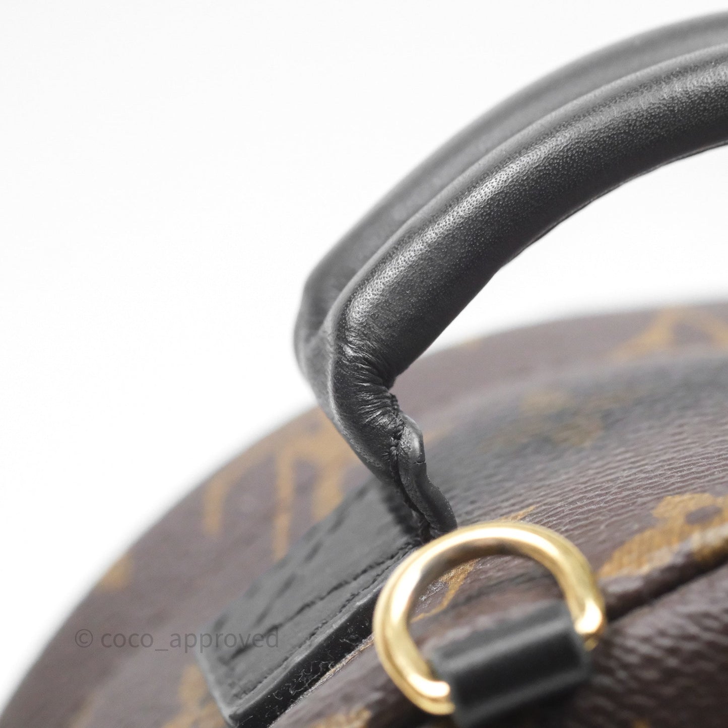 Louis Vuitton Mini Palm Springs Backpack⁣ Monogram