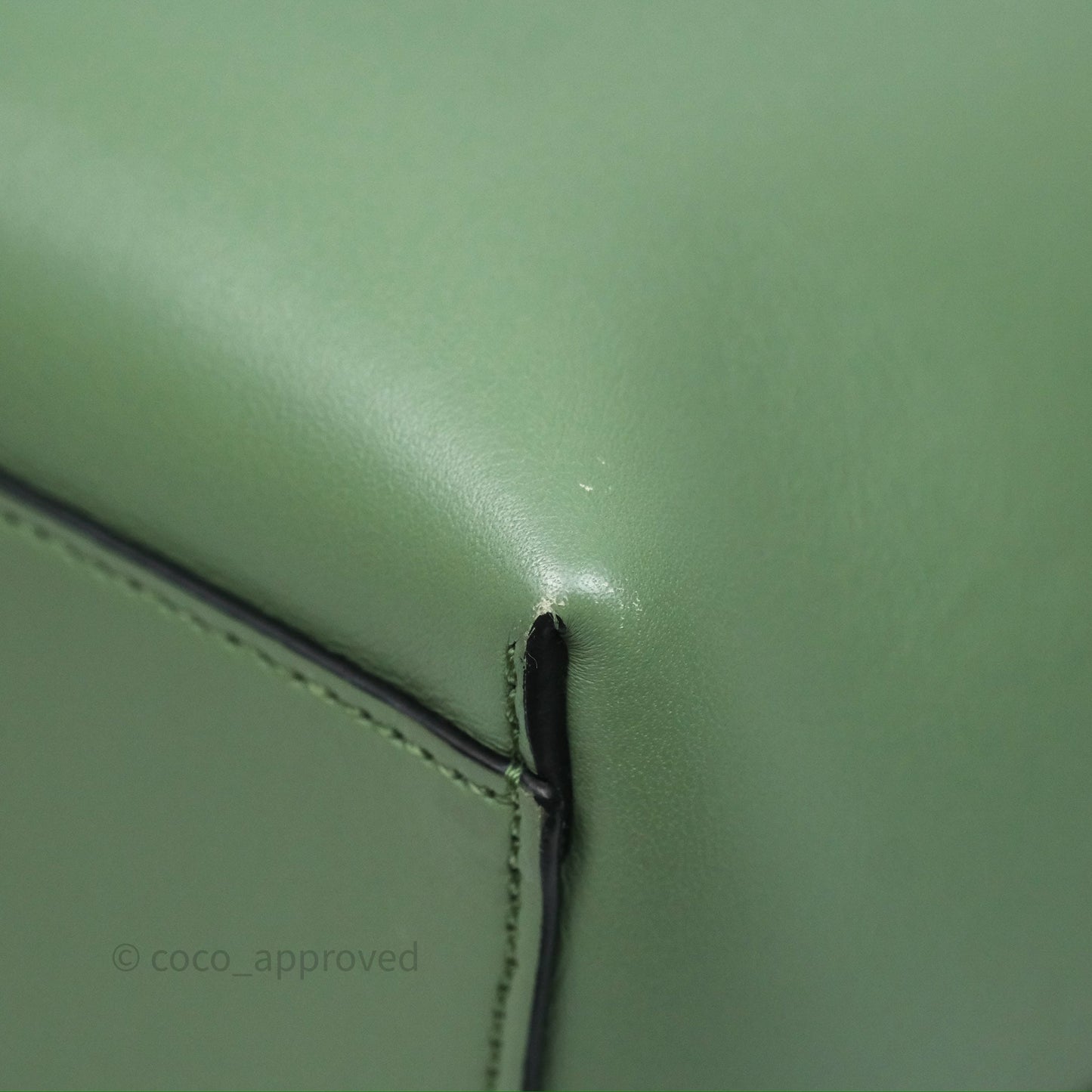 Loewe Small Anagram Tote In Rosemary Green Calfskin