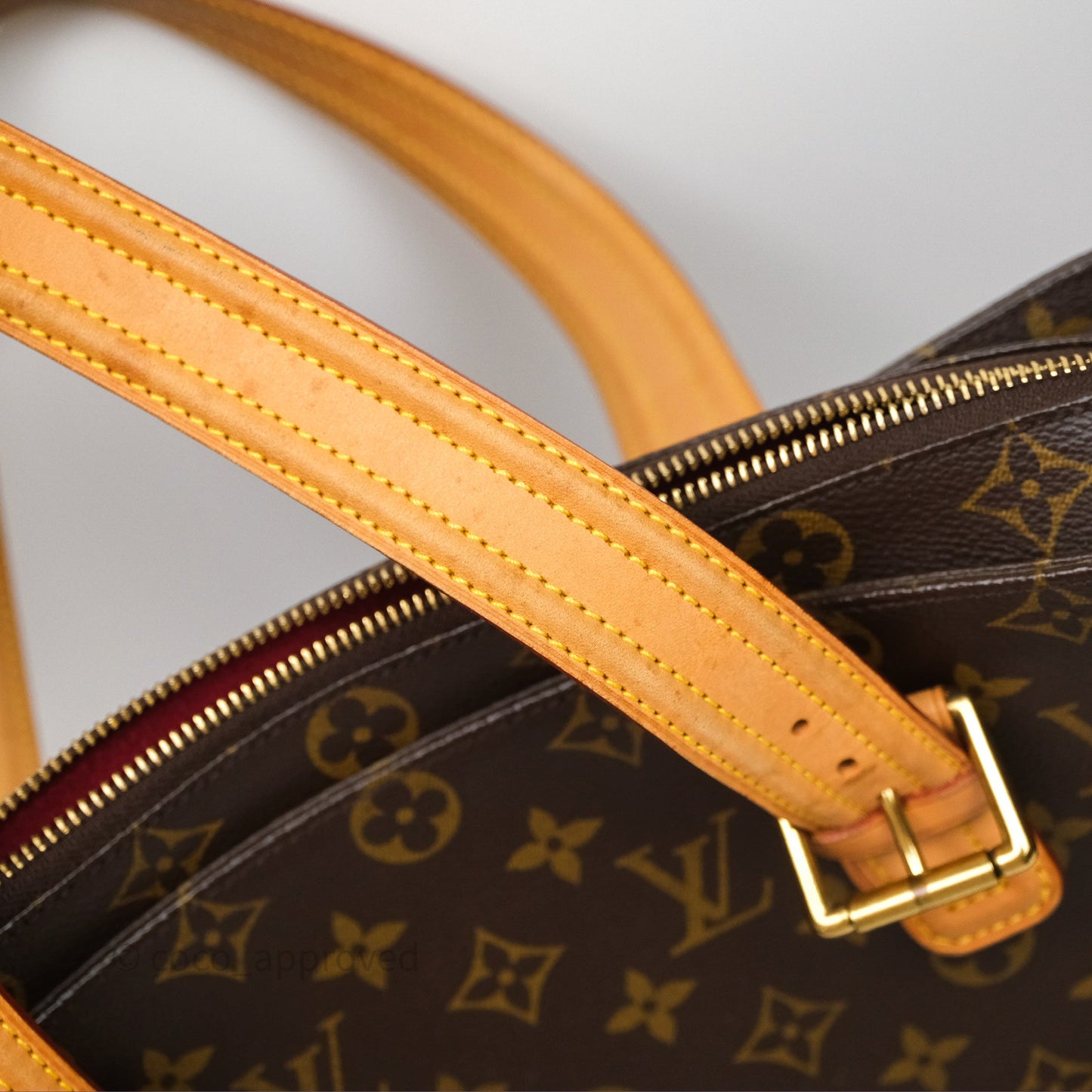Louis Vuitton Multipli-Cite Tote Monogram Canvas