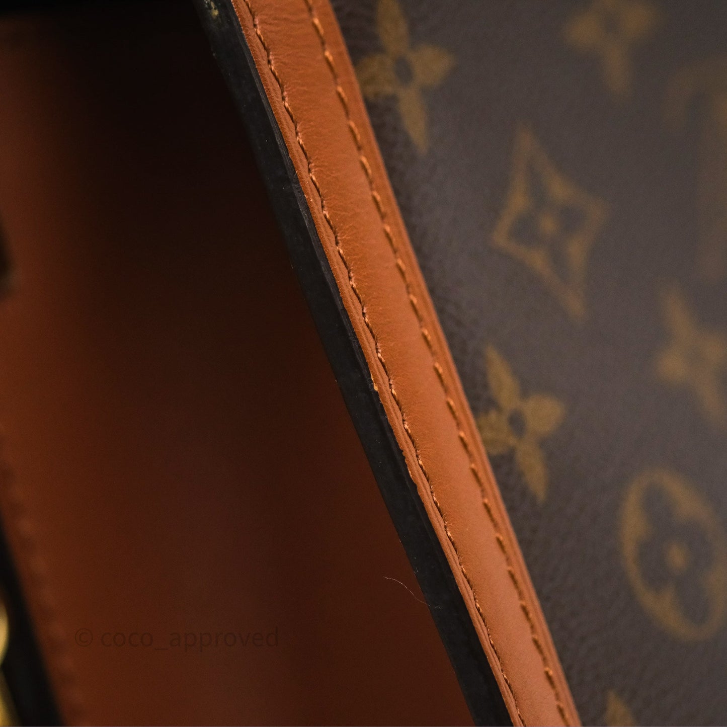 Louis Vuitton Dauphine Bag MM Monogram Canvas