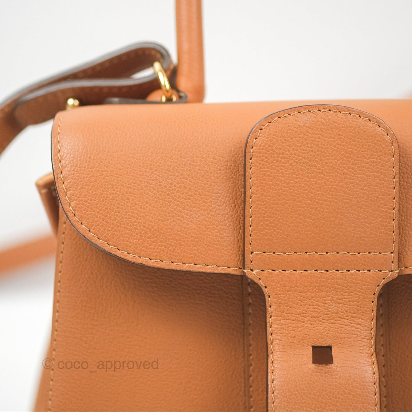 Delvaux Mini Brillant Bag Vegetal Rodeo Calf Gold Hardware
