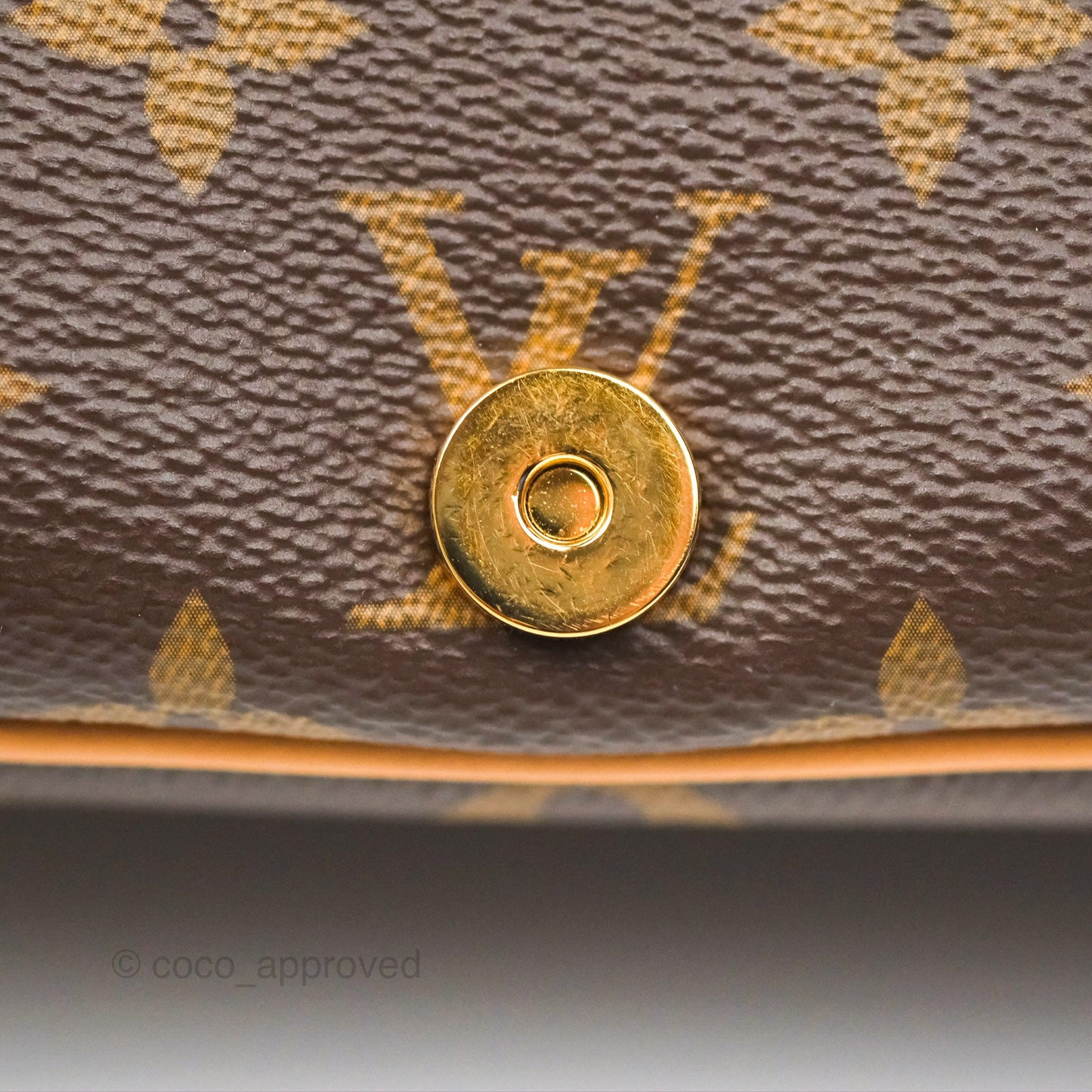 Louis Vuitton Diane Bag Monogram Canvas with Jacquard Strap
