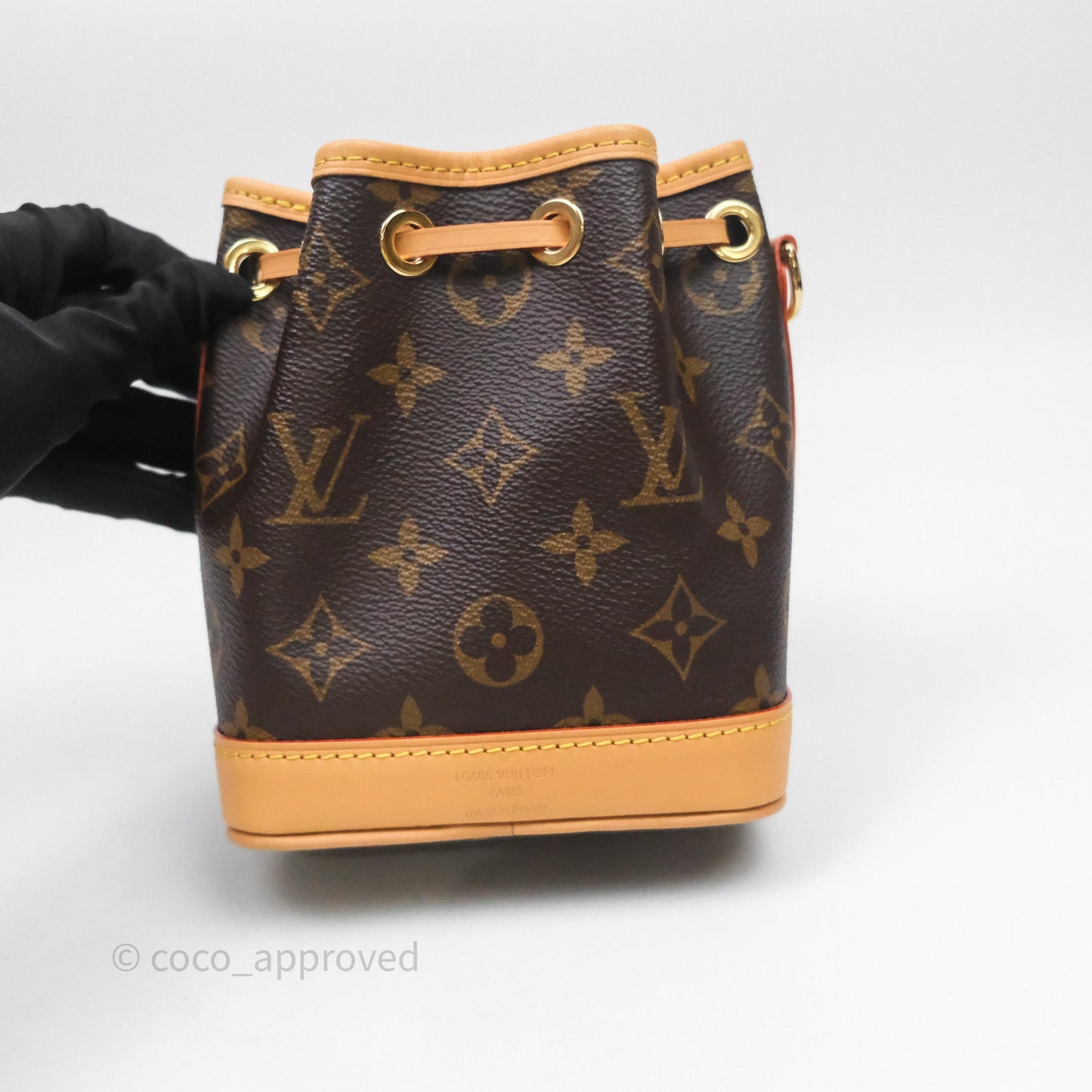Louis Vuitton Nano Noe Monogram Canvas