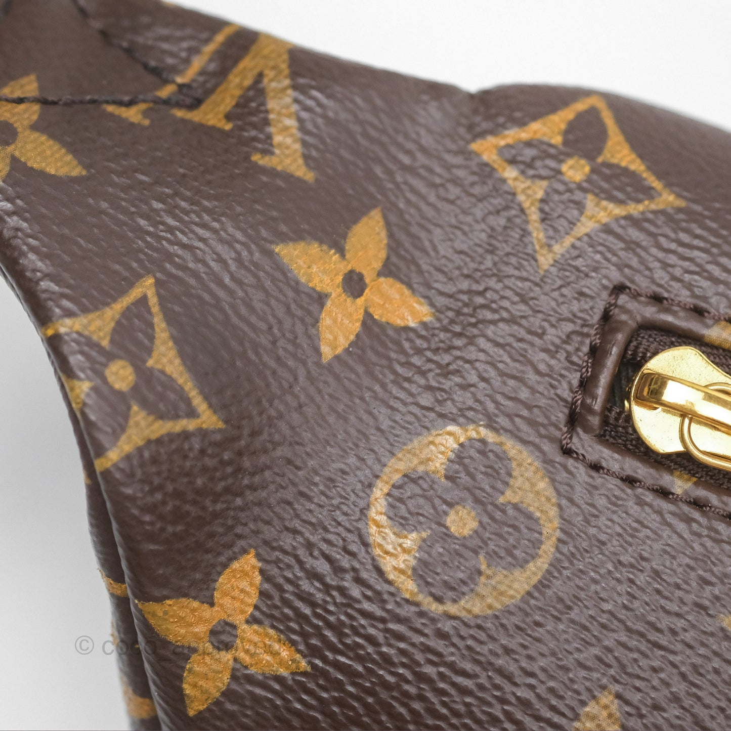 Louis Vuitton Bum Bag Monogram Canvas