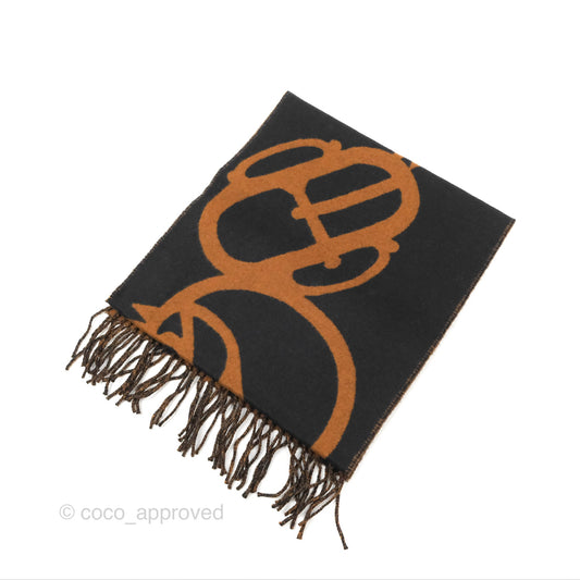 Hermes Boucles et Camails Muffler Cashmere