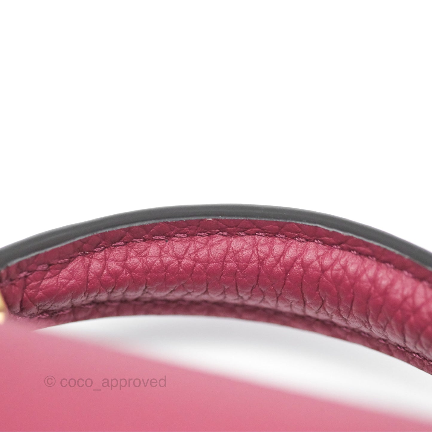 Moynat Réjane Nano Litchi Taurillon Blush Leather