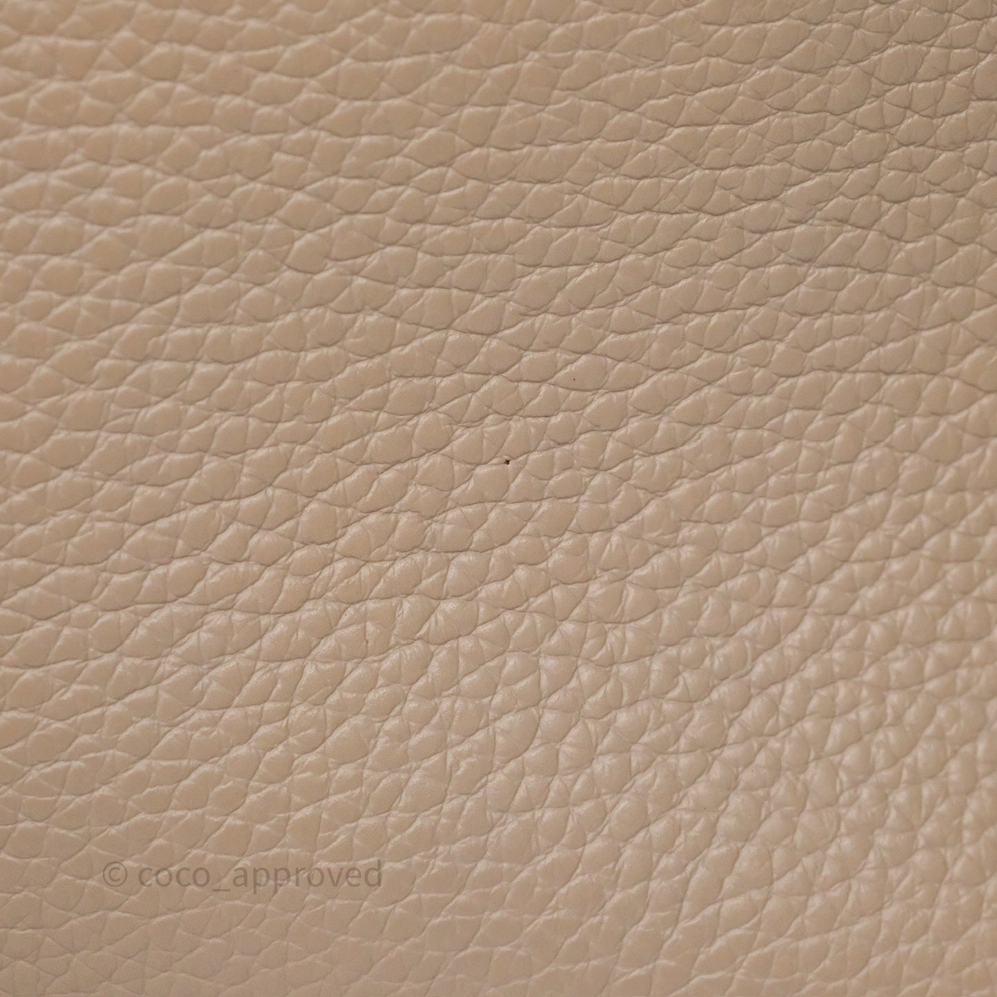 Louis Vuitton Capucines BB Taurillon Leather Galet