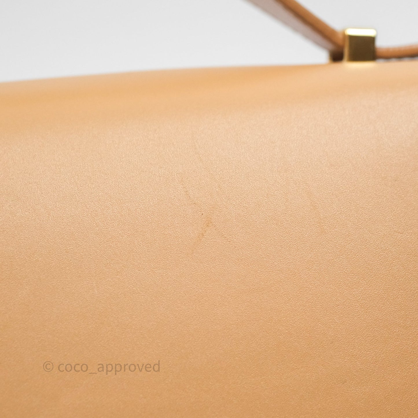 Loro Piana Extra Bag L27 Light Bamboo Calfskin Gold Hardware