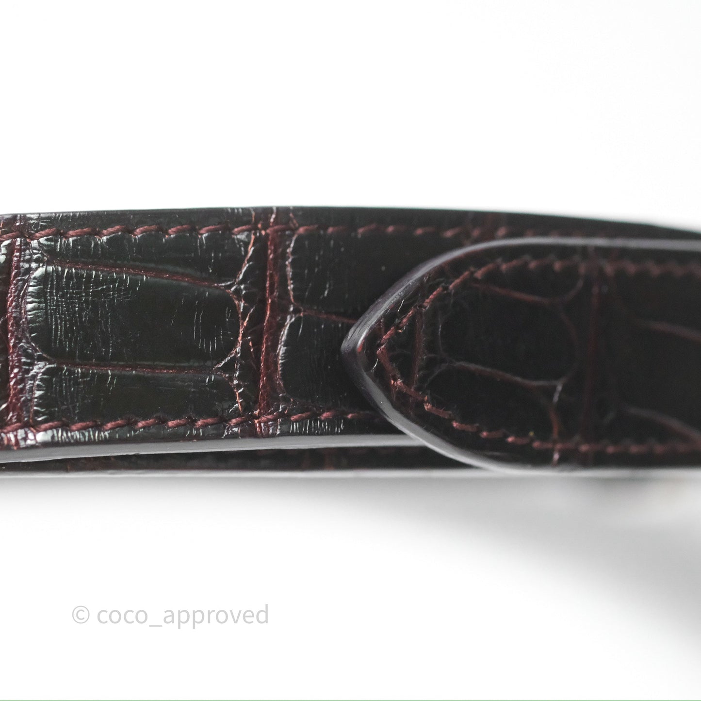 Christian Dior Small Lady Dior Shiny Crocodile Burgundy Diamond Hardware