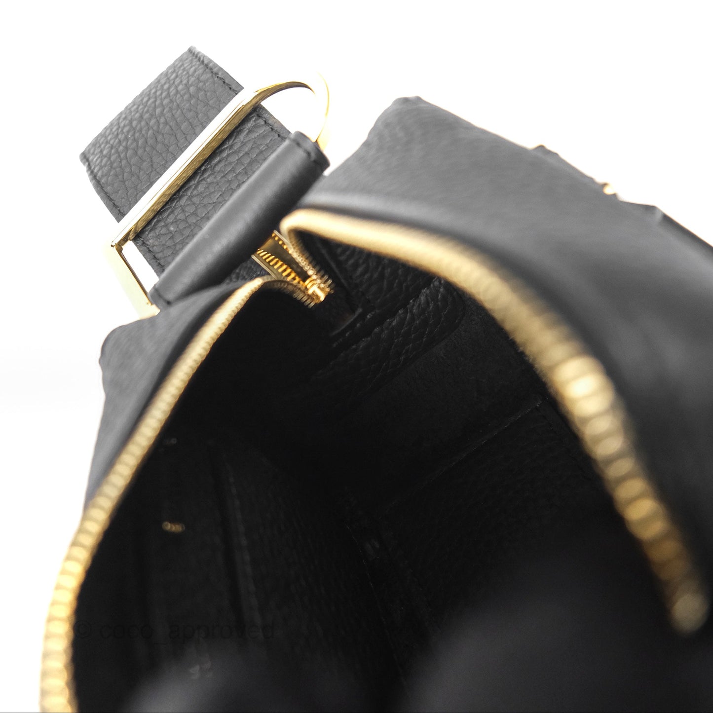Delvaux Cool Box Nano Taurillon Soft Grained Calfskin Black Gold Hardware