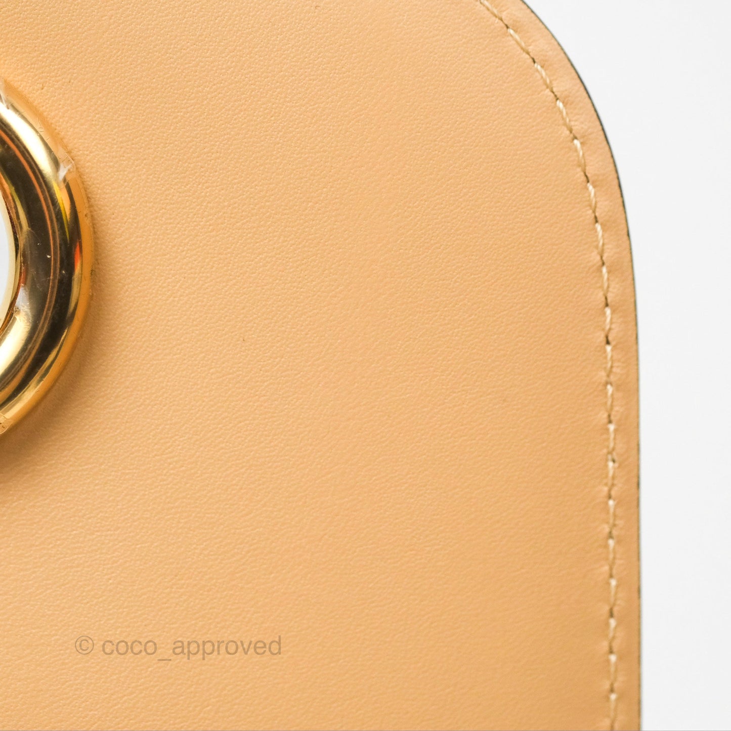 Delvaux Lingot Bag Latte Olen Calfskin