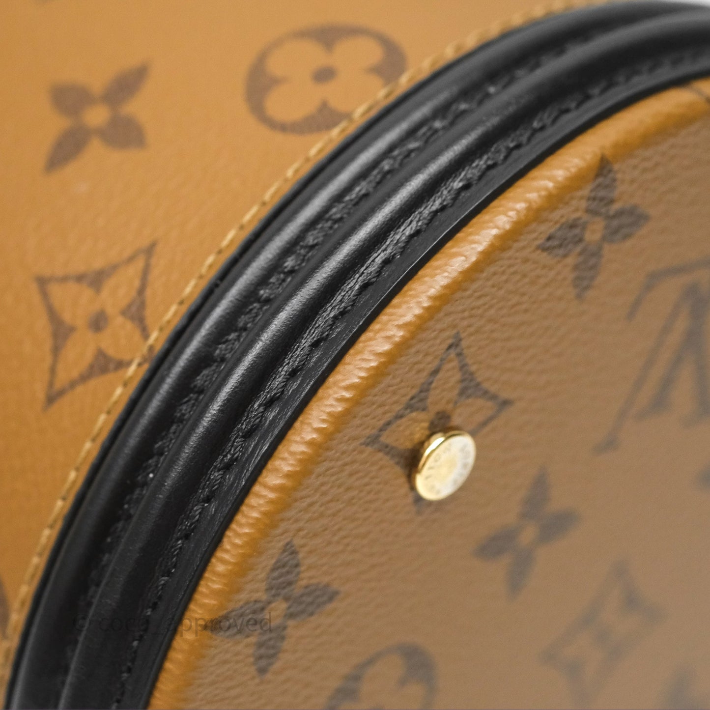 Louis Vuitton Monogram Canvas Reverse Cannes Bag