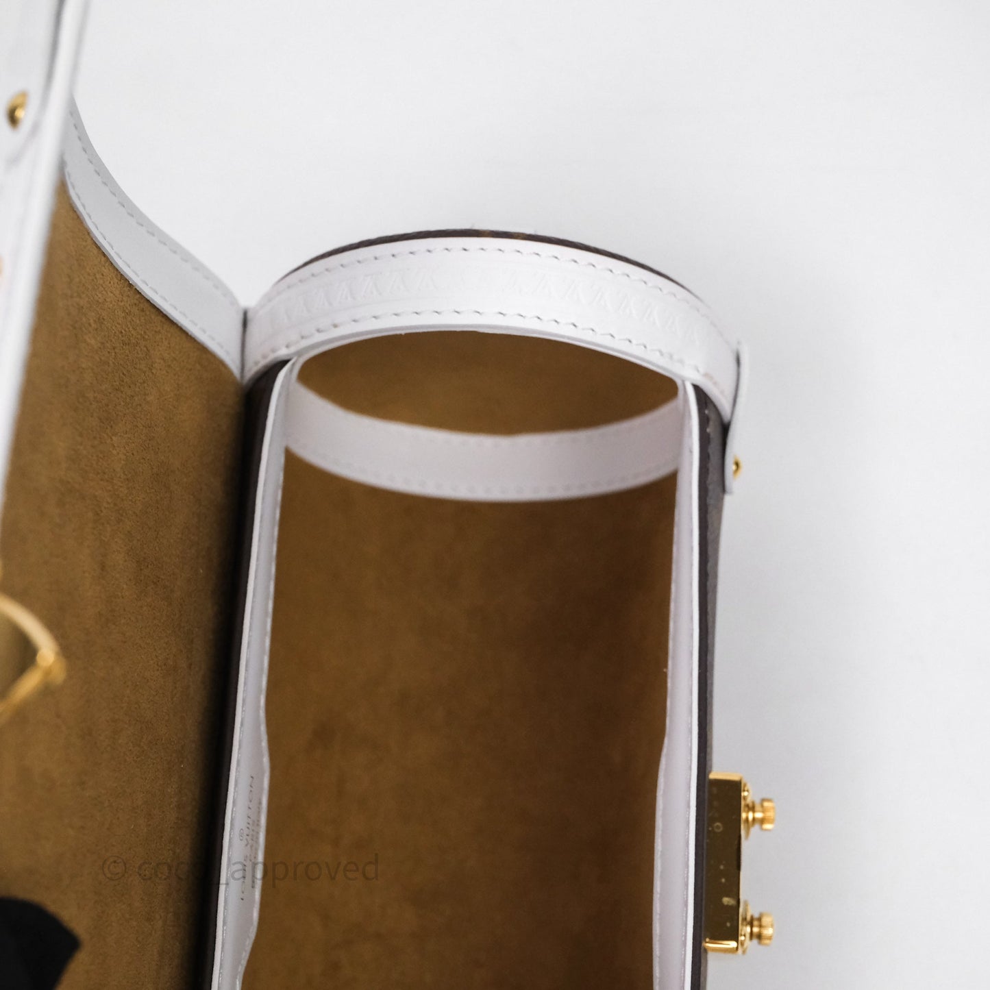 Louis Vuitton Monogram Papillon Trunk Bag