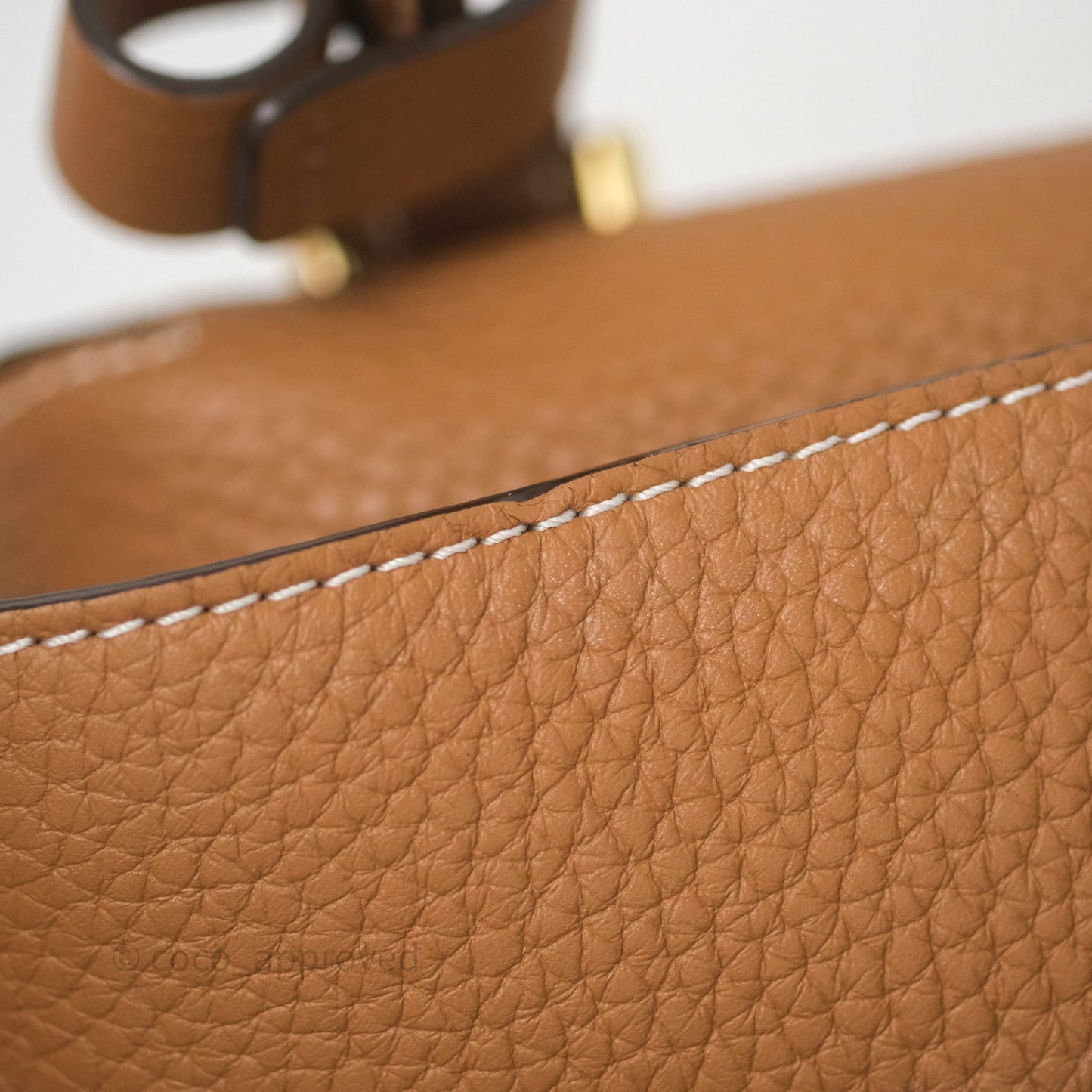 Delvaux Cool Box Nano Taurillon Soft Grained Calfskin Vegetal Ivory Gold Hardware