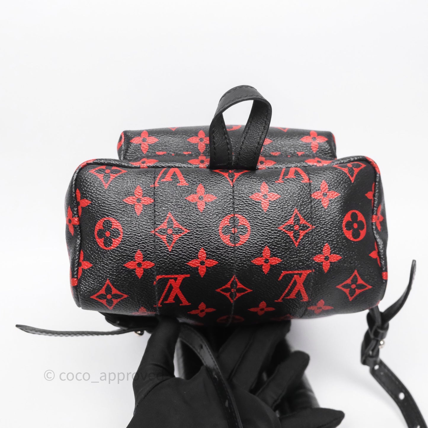 Louis Vuitton Palm Springs Backpack⁣ Monogram PM Infrarouge