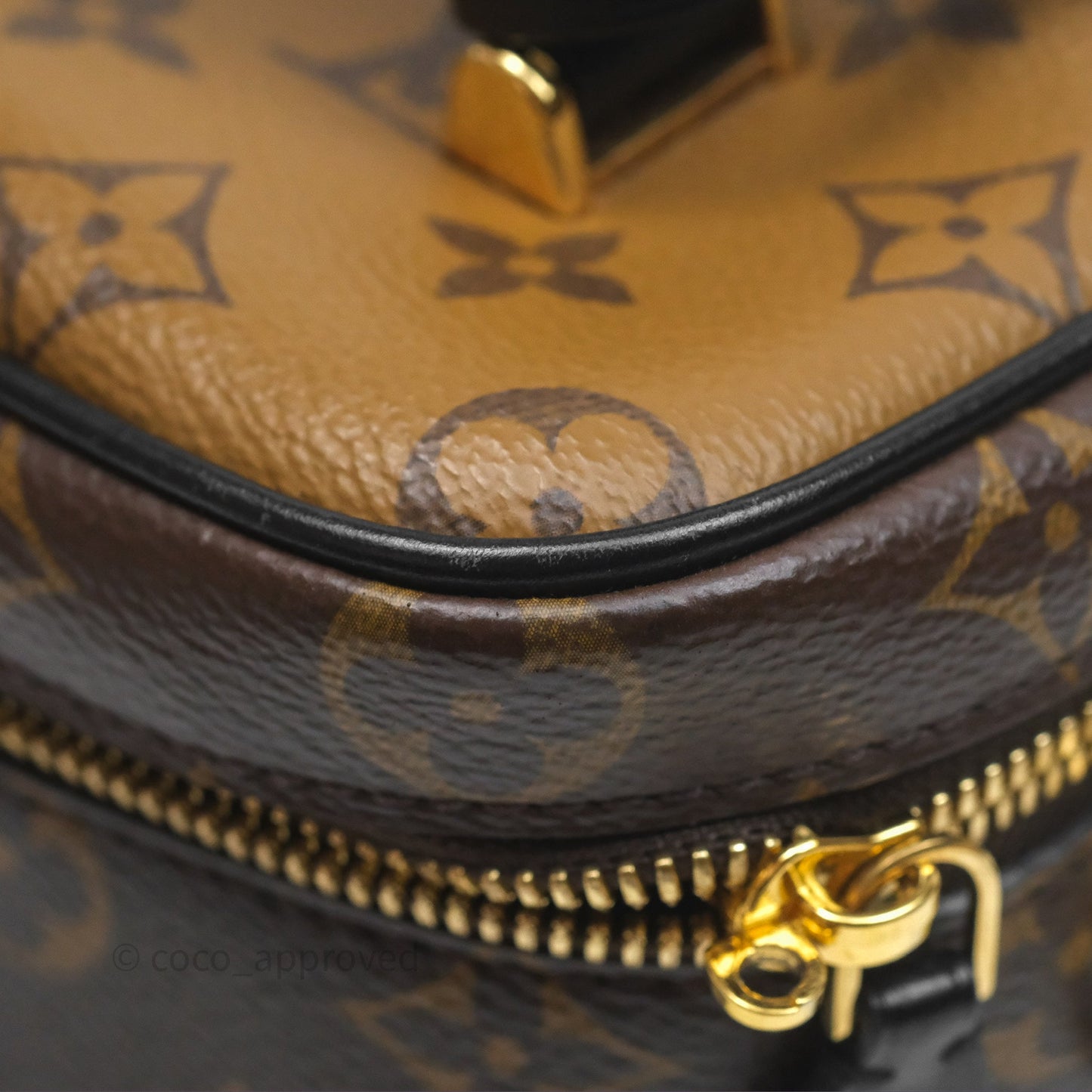 Louis Vuitton Reverse Monogram Vanity PM