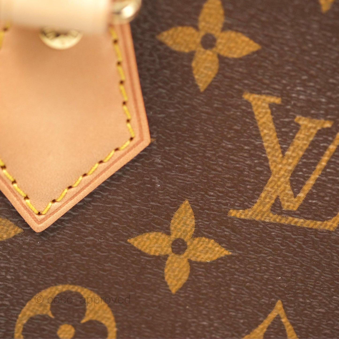 Louis Vuitton Speedy Bandoulière 20 Monogram
