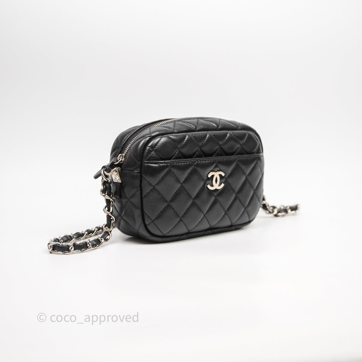 Chanel Camera Case Bag Lambskin Silver Hardware