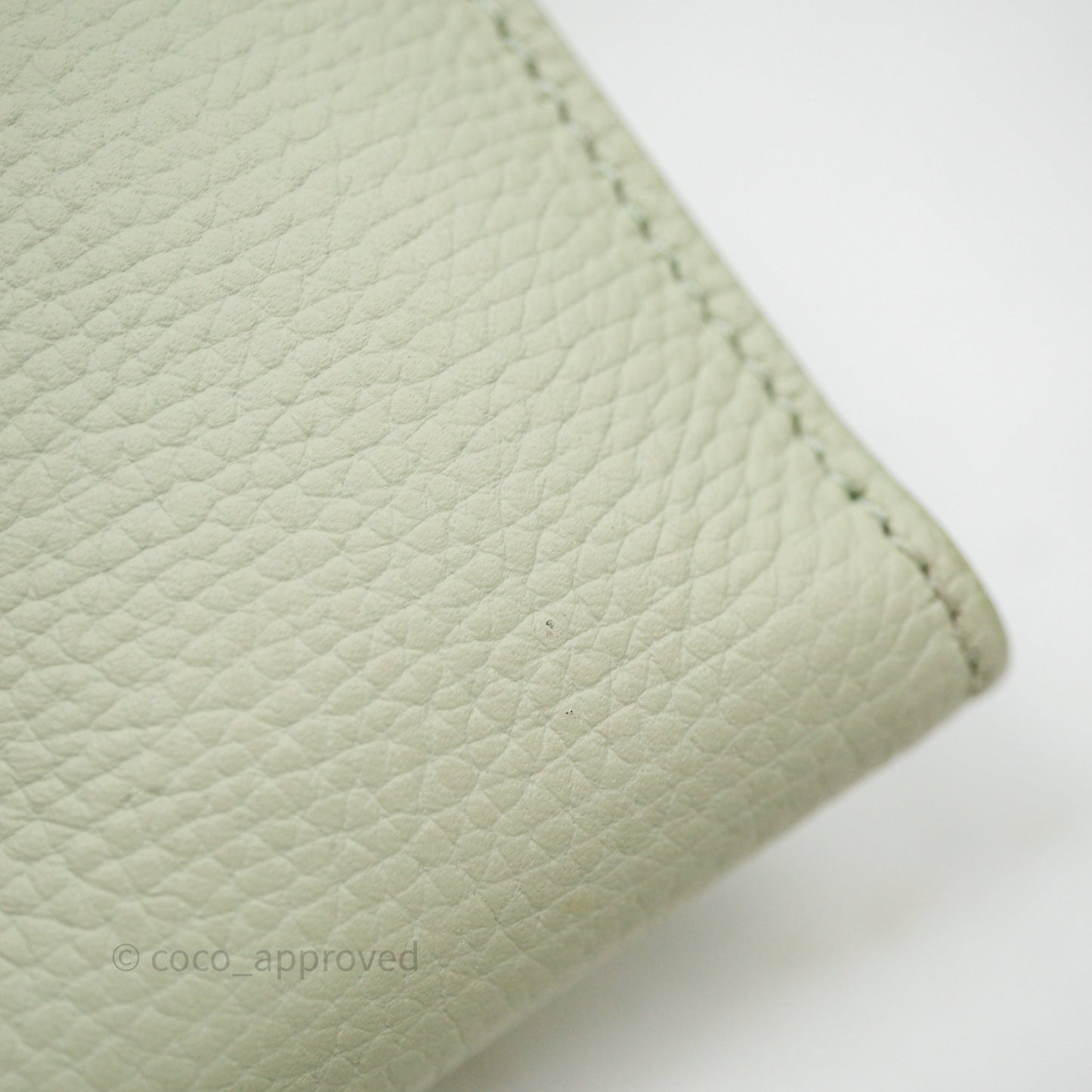 Loewe Anagram Small Vertical Wallet Green Silver Hardware