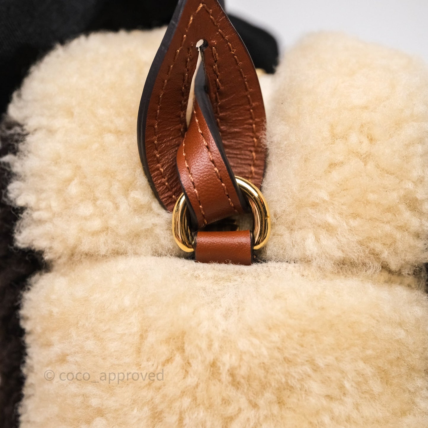 Louis Vuitton Teddy Beach Pouch Monogram
