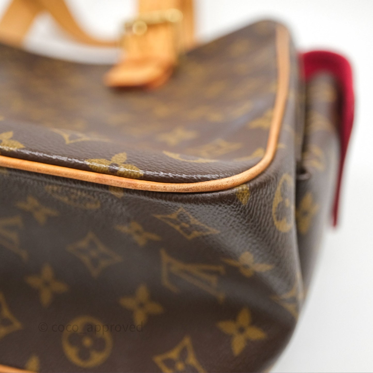 Louis Vuitton Multipli-Cite Tote Monogram Canvas