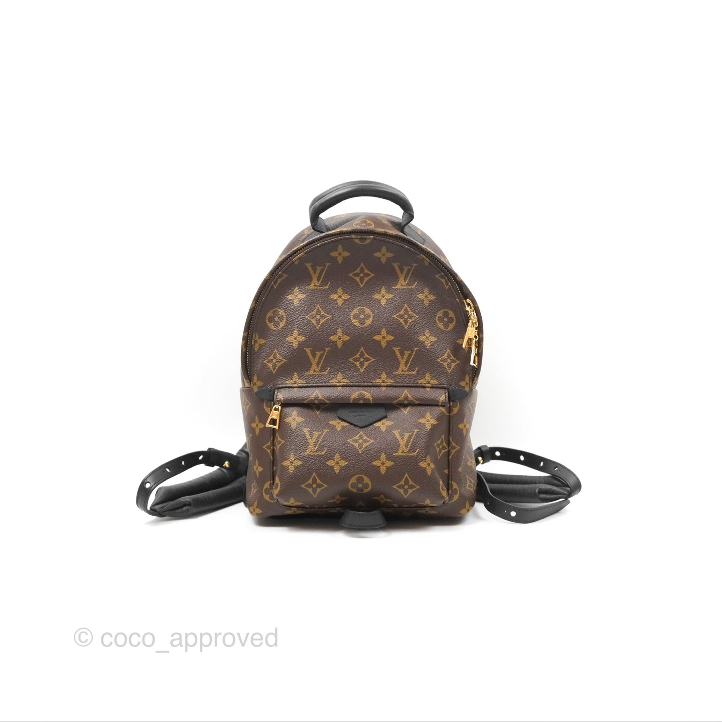 Louis Vuitton Palm Springs Backpack⁣ Monogram PM