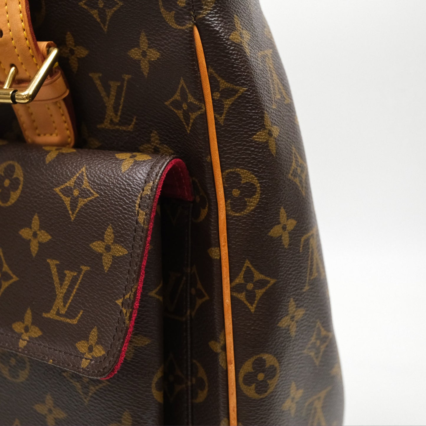Louis Vuitton Multipli-Cite Tote Monogram Canvas