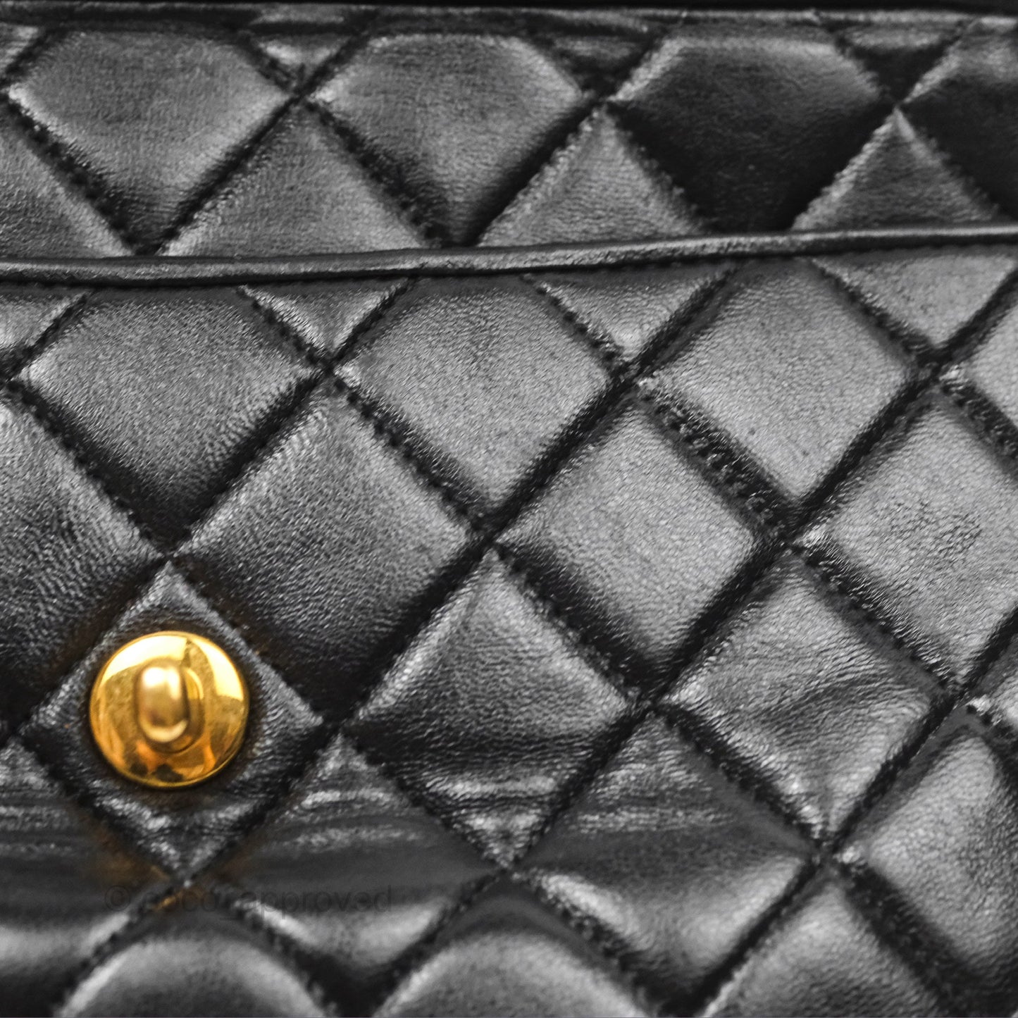 Chanel Vintage Diana Fringe Camera Bag Black Lambskin 24K Gold Hardware