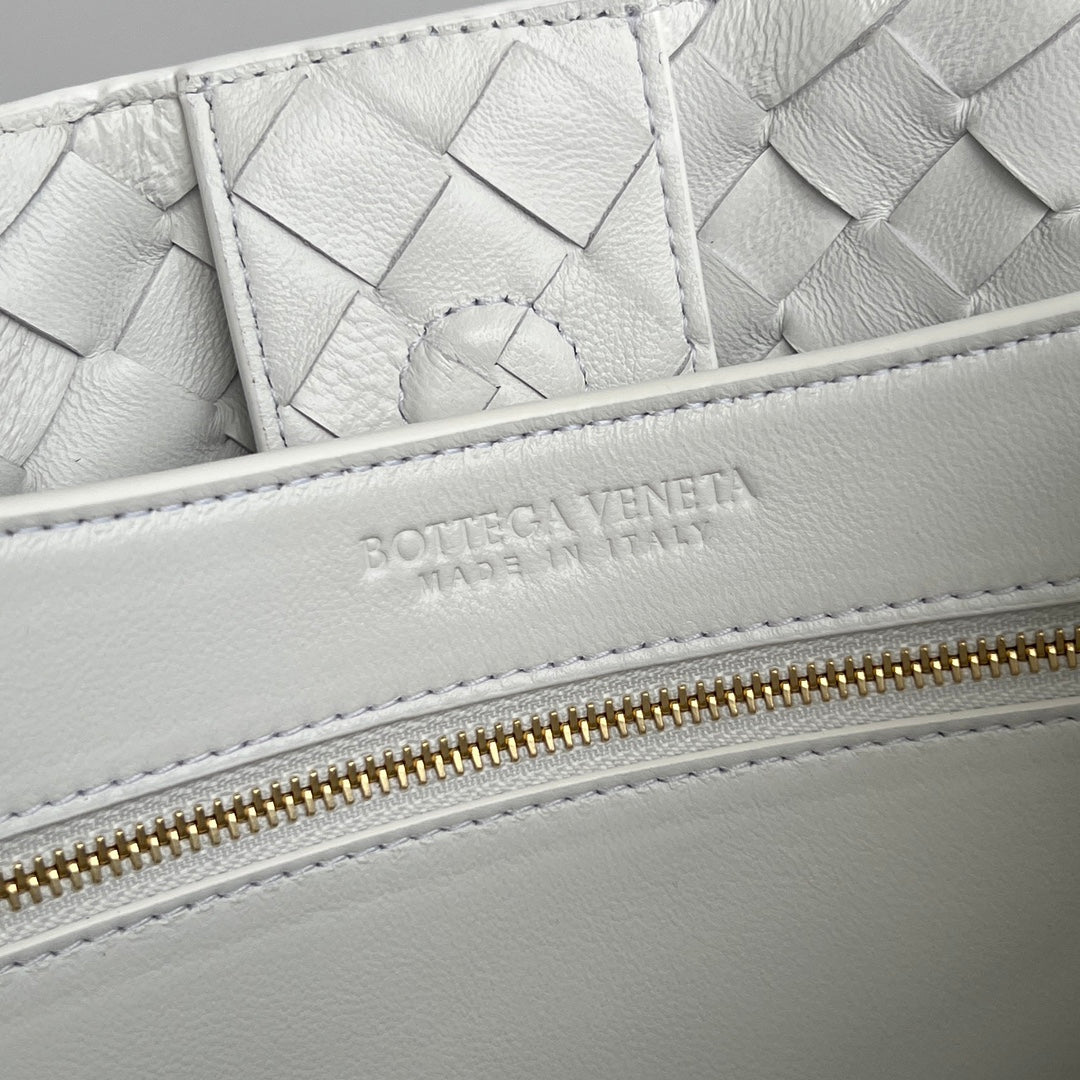 Luxury Bottega Veneta bv medium andiamo 32 light green lambskin