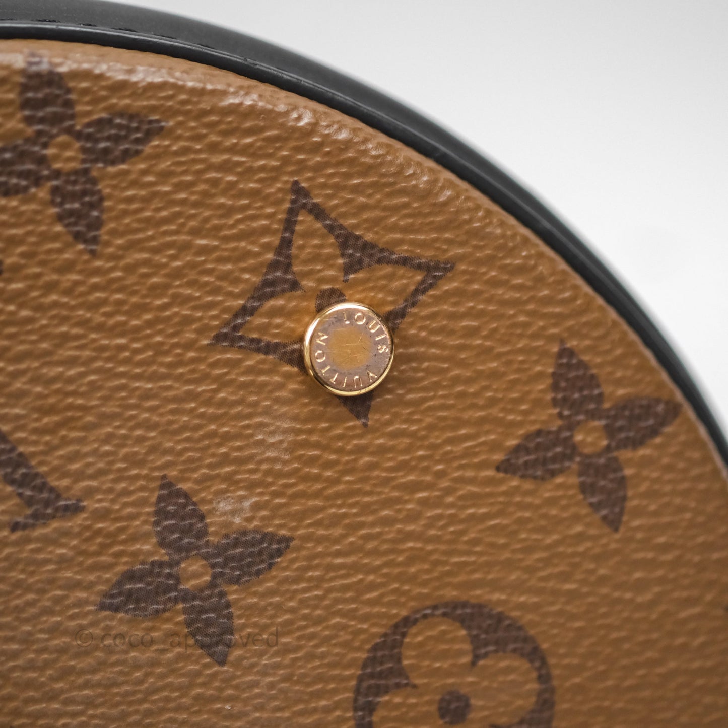 Louis Vuitton Monogram Canvas Reverse Cannes Bag