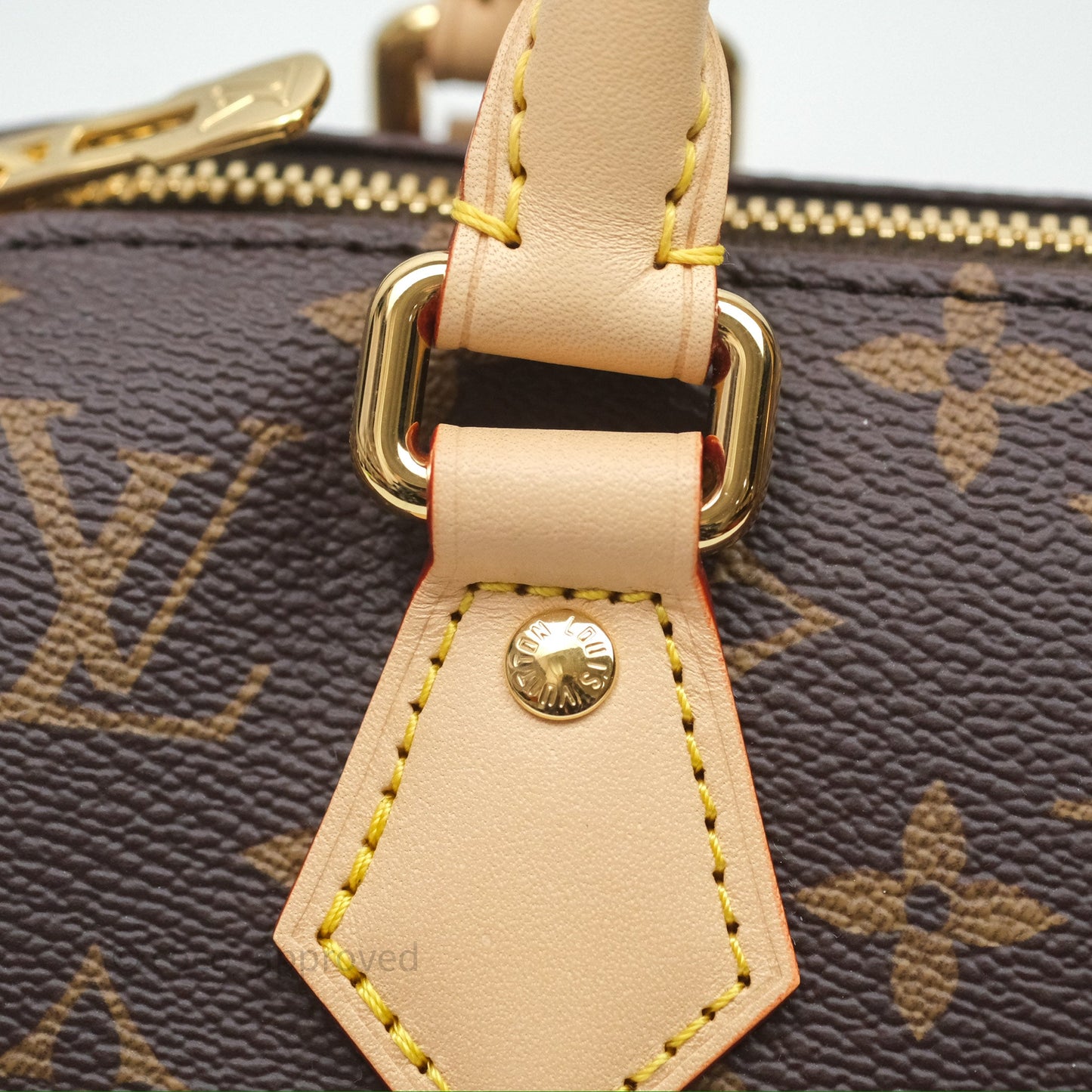 Louis Vuitton LV x Murakami Speedy Bandoulière 20 Monogram