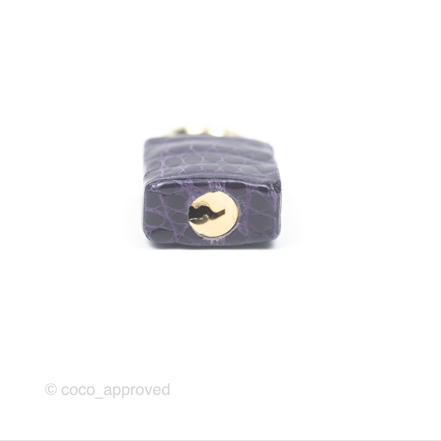 Hermès Kelly 25 Sellier Touch Anemone/ Amethyste Madame/ Croc Gold Hardware