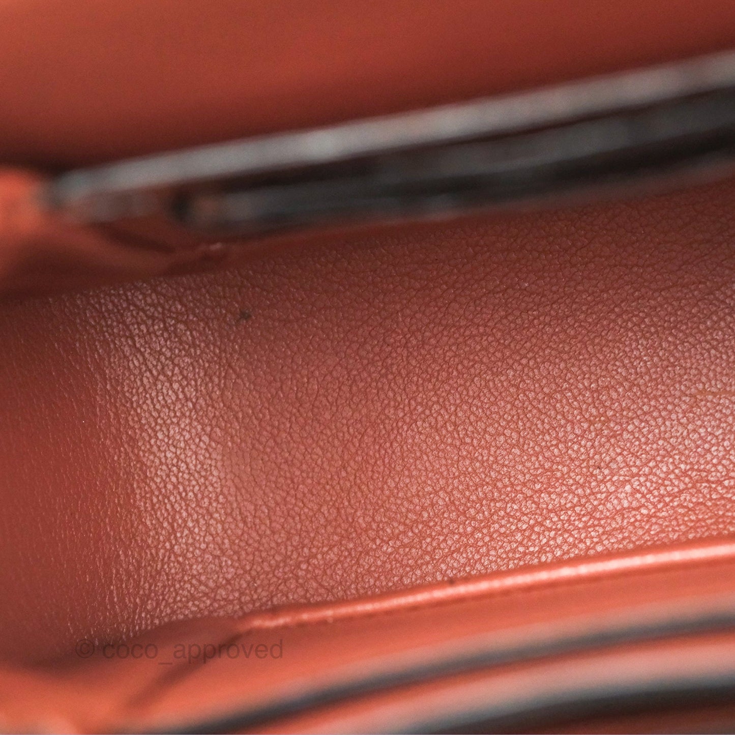 Louis Vuitton Vivienne Bag Brick Red Black