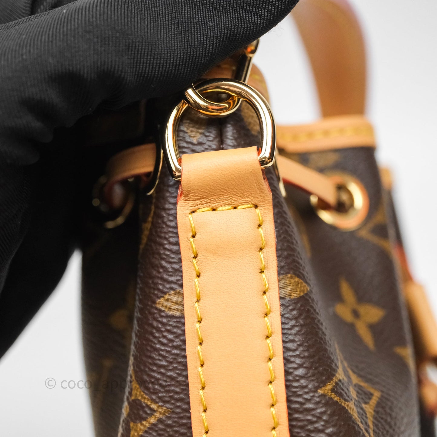 Louis Vuitton Nano Noe Monogram Canvas