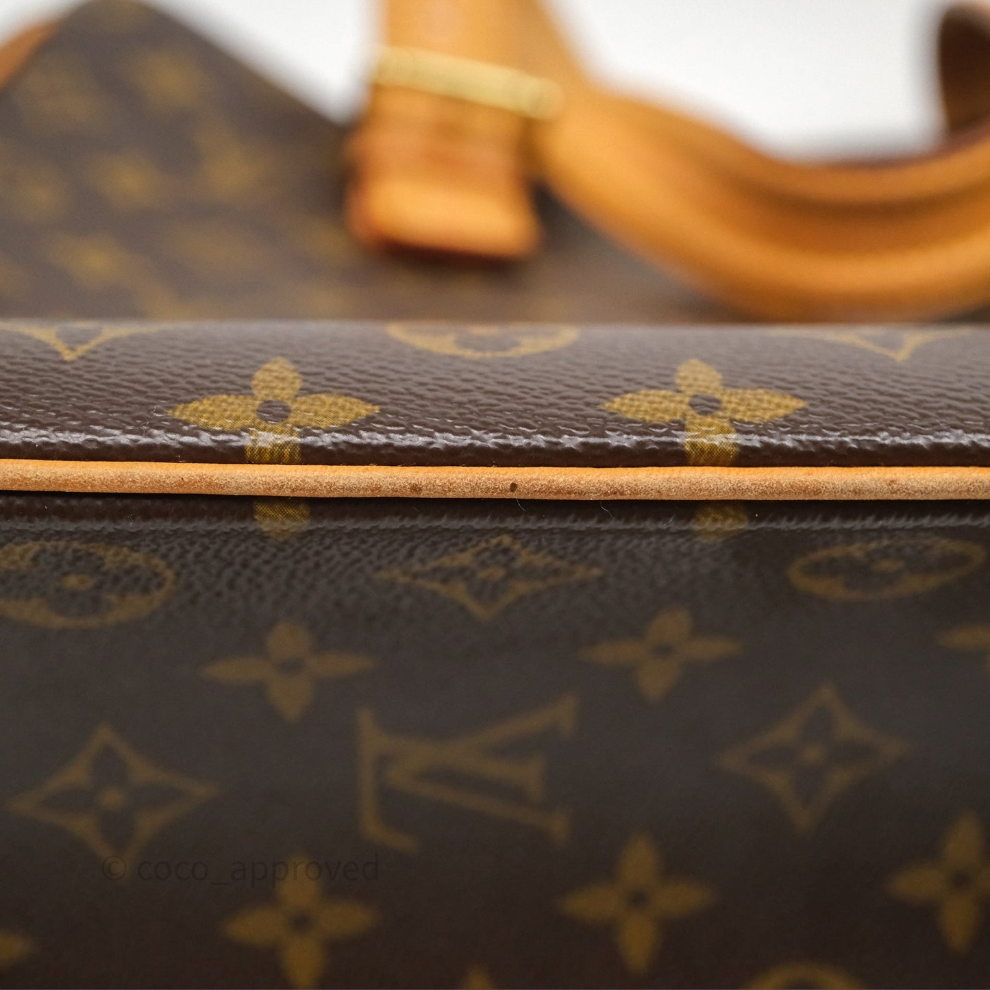 Louis Vuitton Multipli-Cite Tote Monogram Canvas