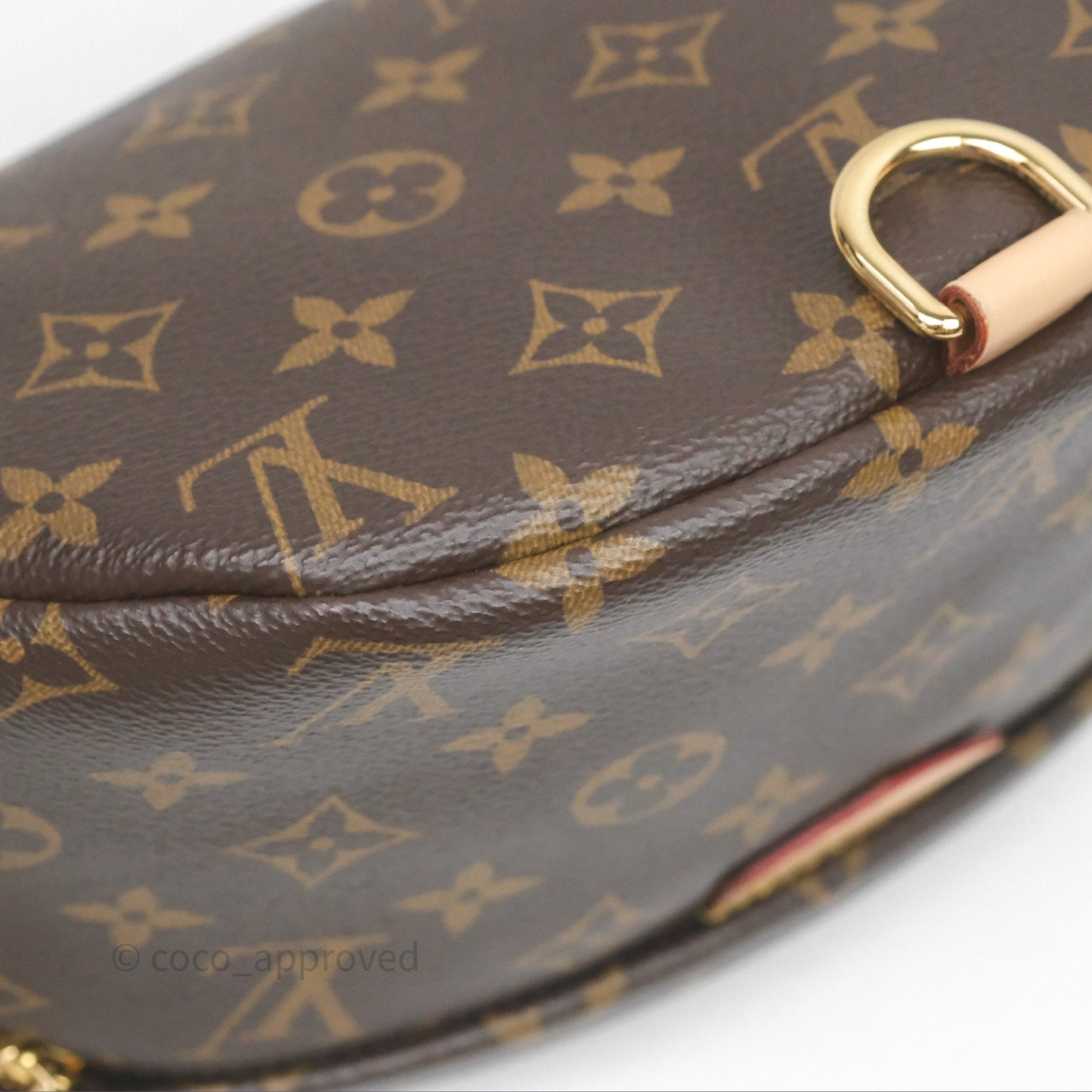 Louis Vuitton Bum Bag Monogram Canvas