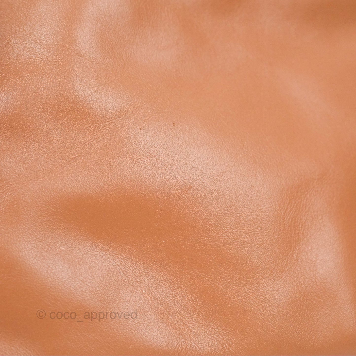 Chanel 22 Medium Caramel Beige Shiny Calfskin Aged Gold Hardware